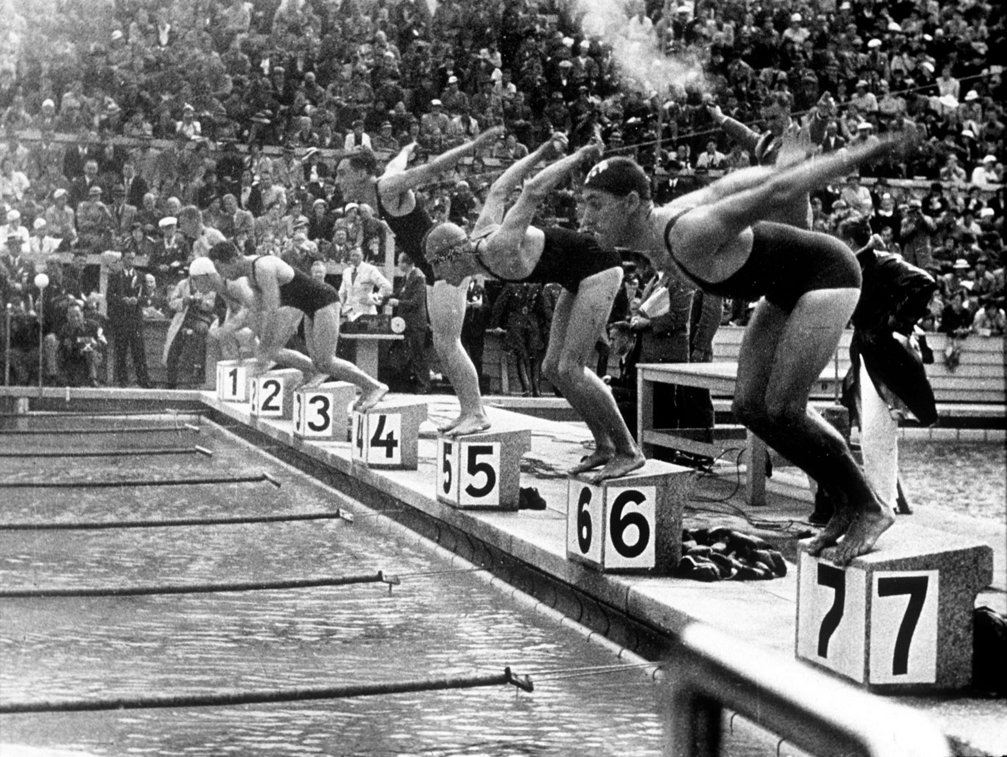 swimming competition at berlin Olympic Games in 1936 by Bridgeman Images on GIANT ART - black and white photgraphy