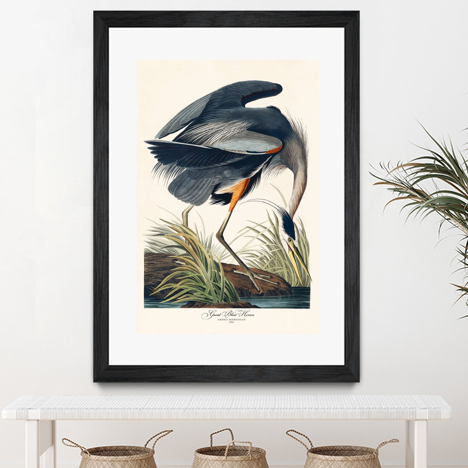 Great Blue Heron by John James Audubon on GIANT ART - green botanical nature