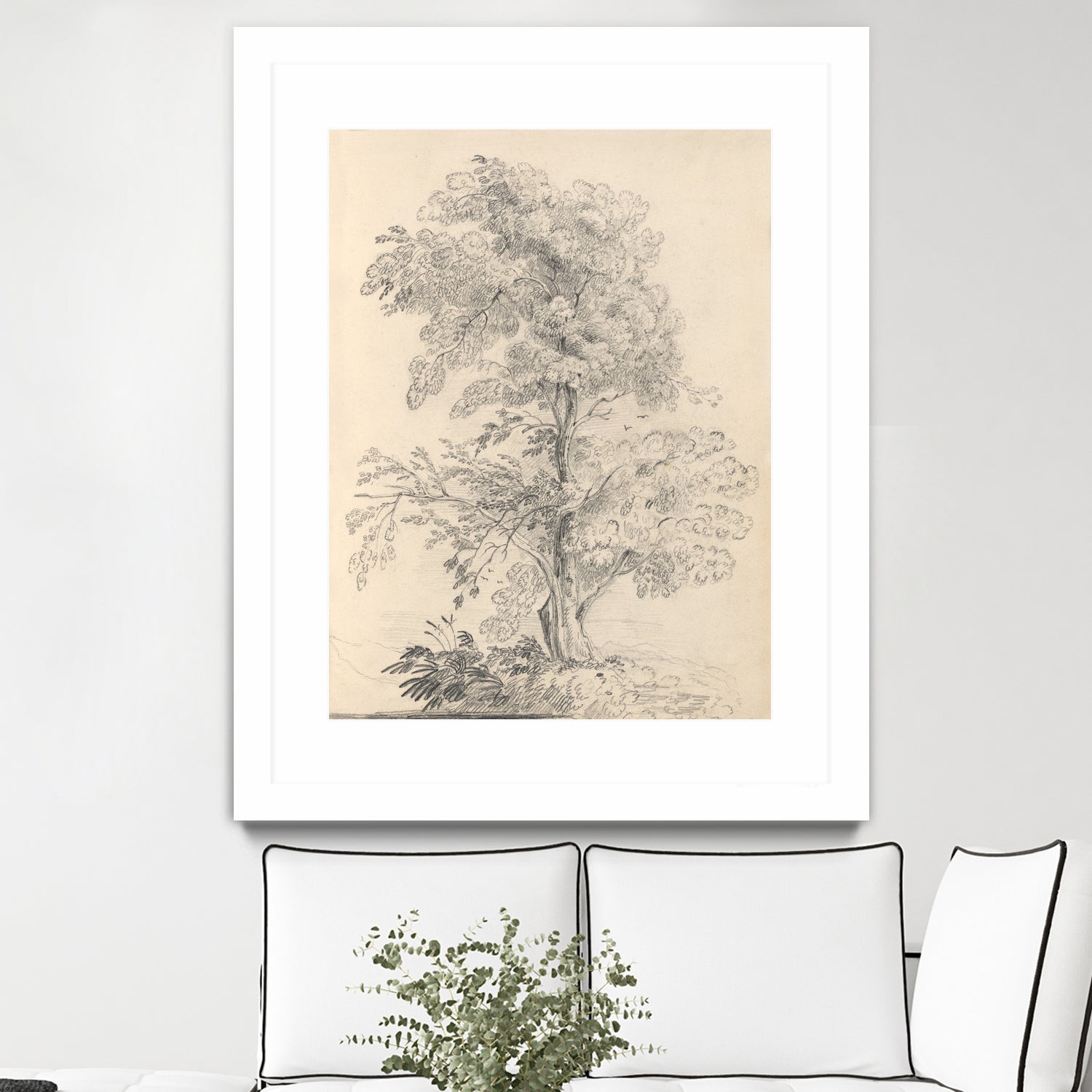 Tree Sketch by Wild Apple Portfolio on GIANT ART - abstract