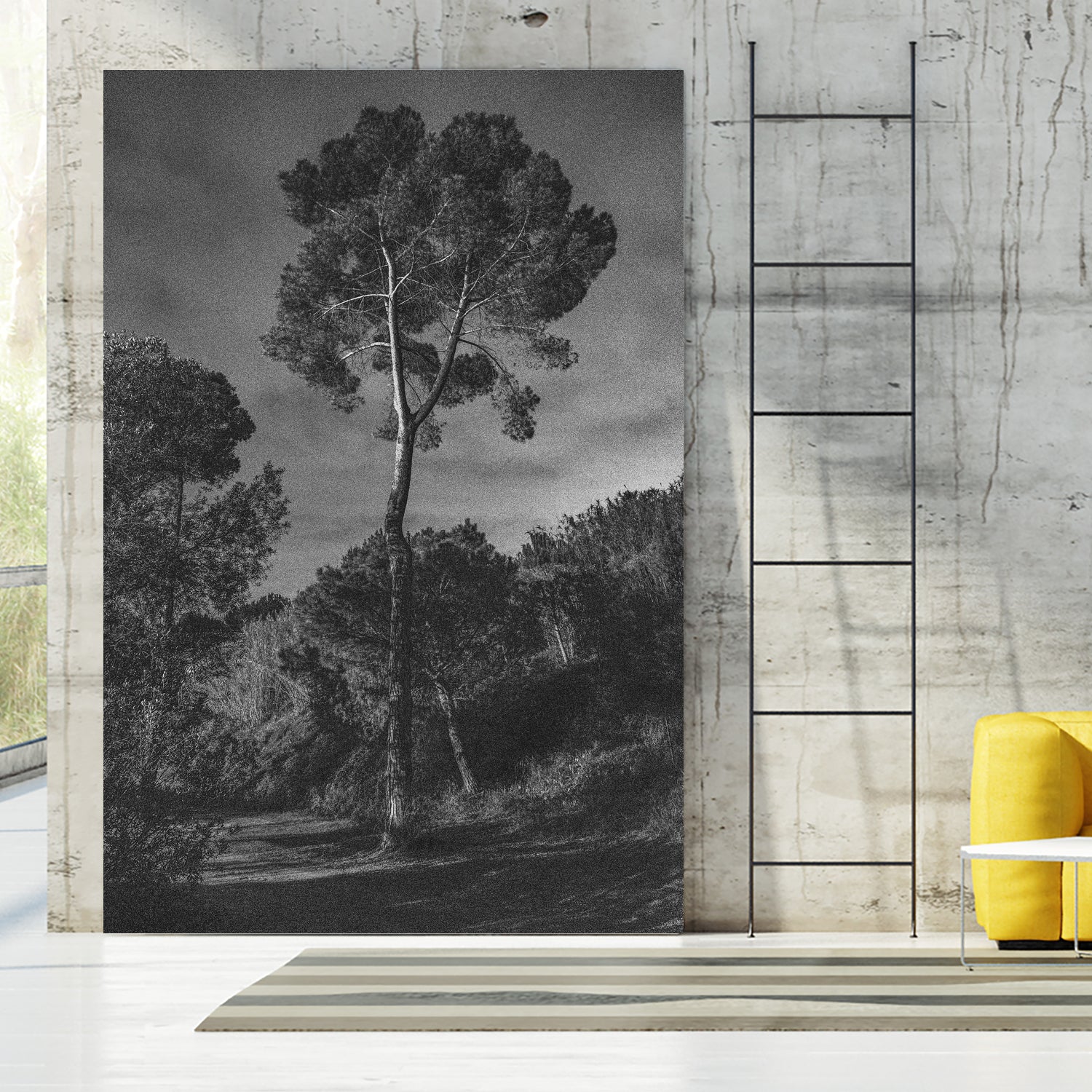 Arbores by Pepa on GIANT ART - black botanical framed canvas