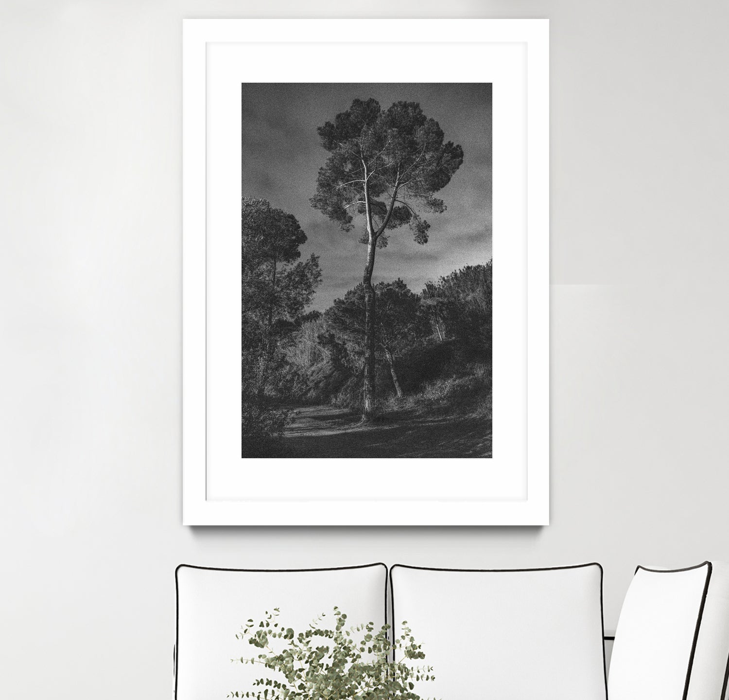 Arbores by Pepa on GIANT ART - black botanical framed canvas