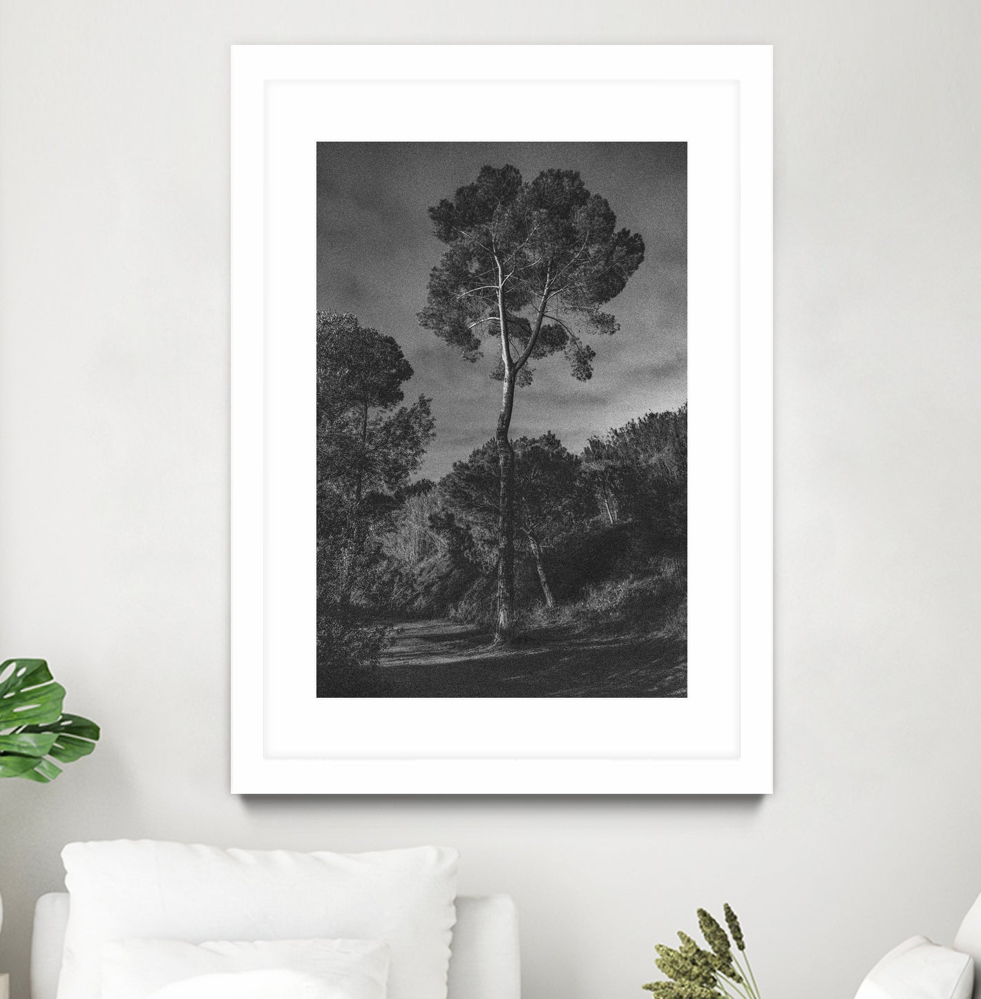 Arbores by Pepa on GIANT ART - black botanical framed canvas