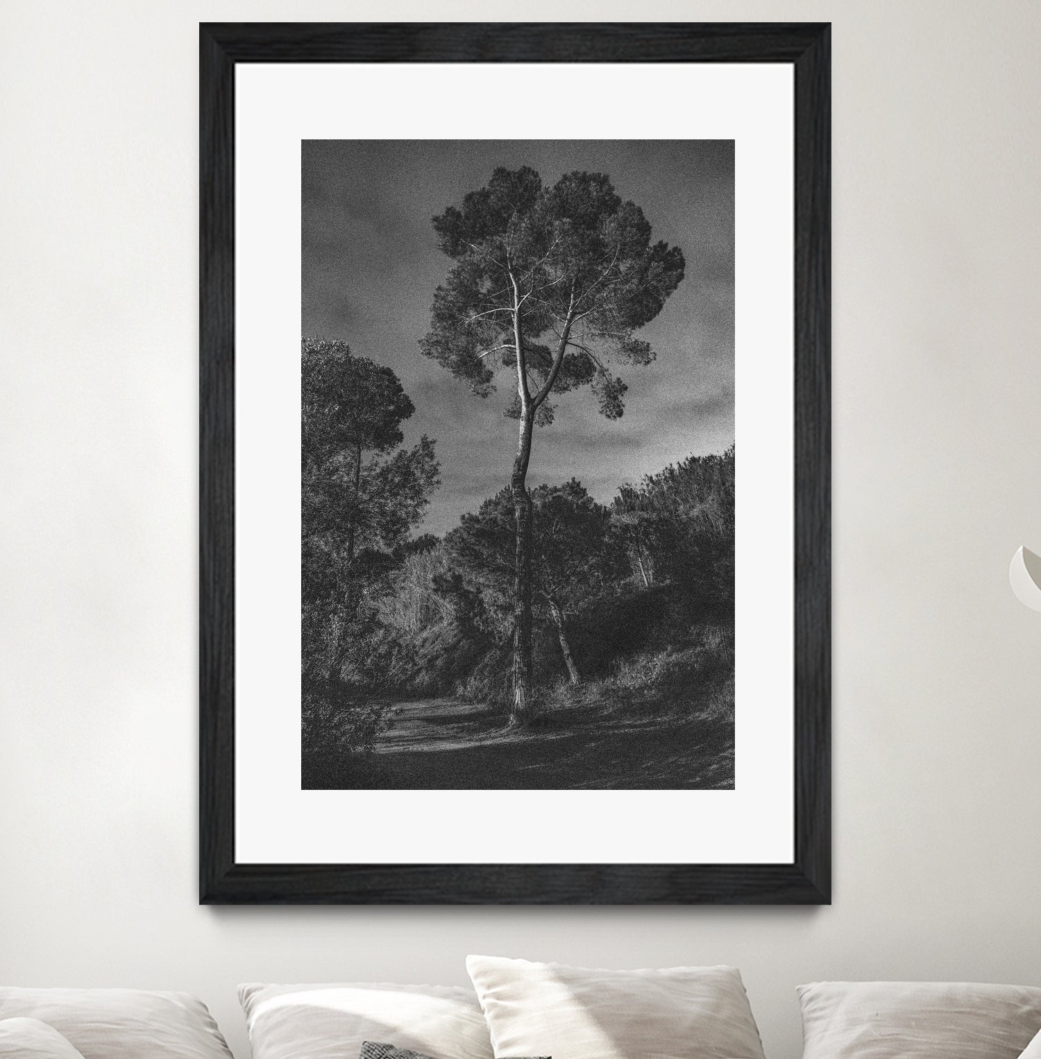 Arbores by Pepa on GIANT ART - black botanical framed canvas