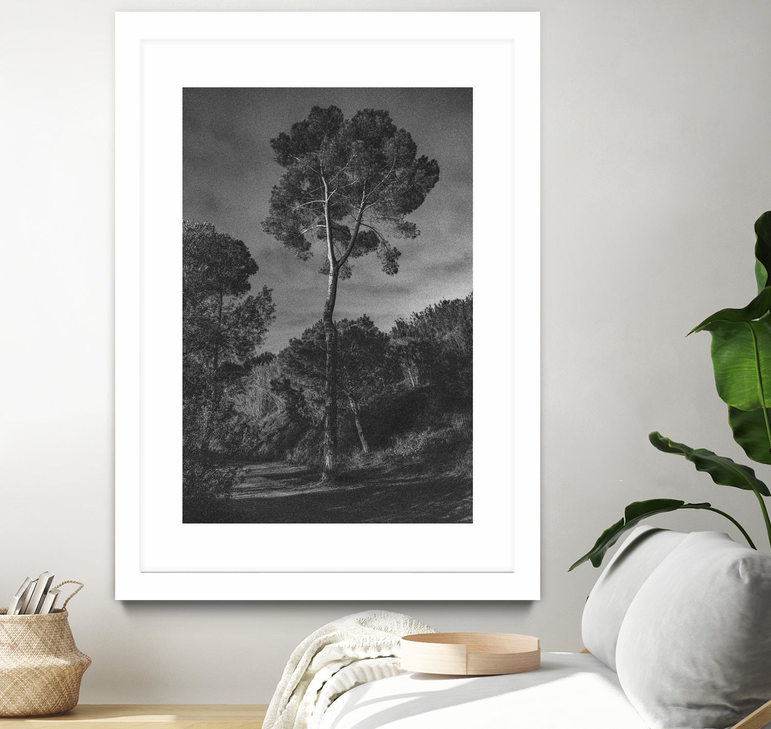 Arbores by Pepa on GIANT ART - black botanical framed canvas