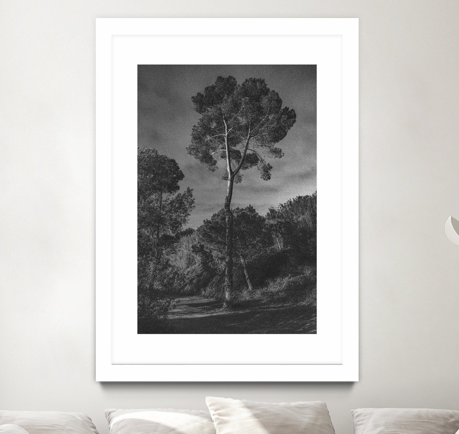 Arbores by Pepa on GIANT ART - black botanical framed canvas