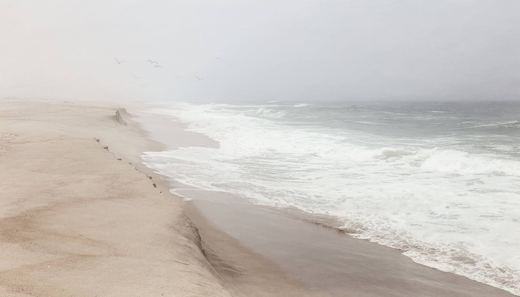 Mist over SAo Jacinto beach by Bruno Flour on GIANT ART - landscape beach