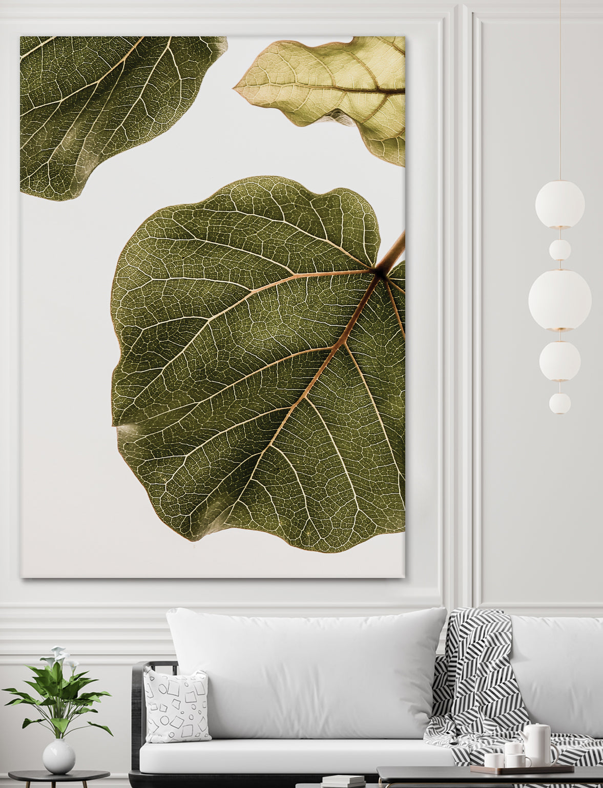 Abutifolia No2 by Shot on GIANT ART - photography still life