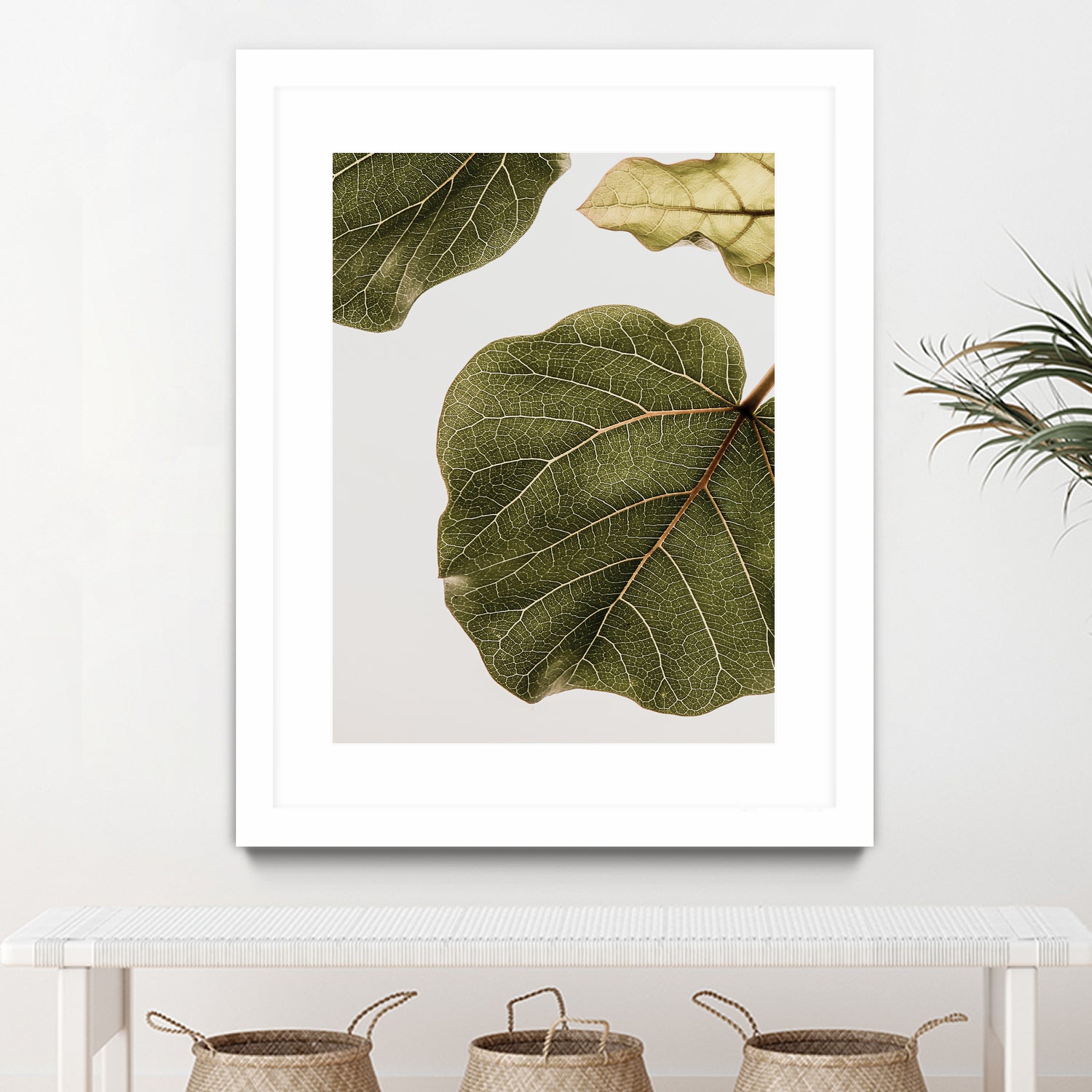 Abutifolia No2 by Shot on GIANT ART - photography still life