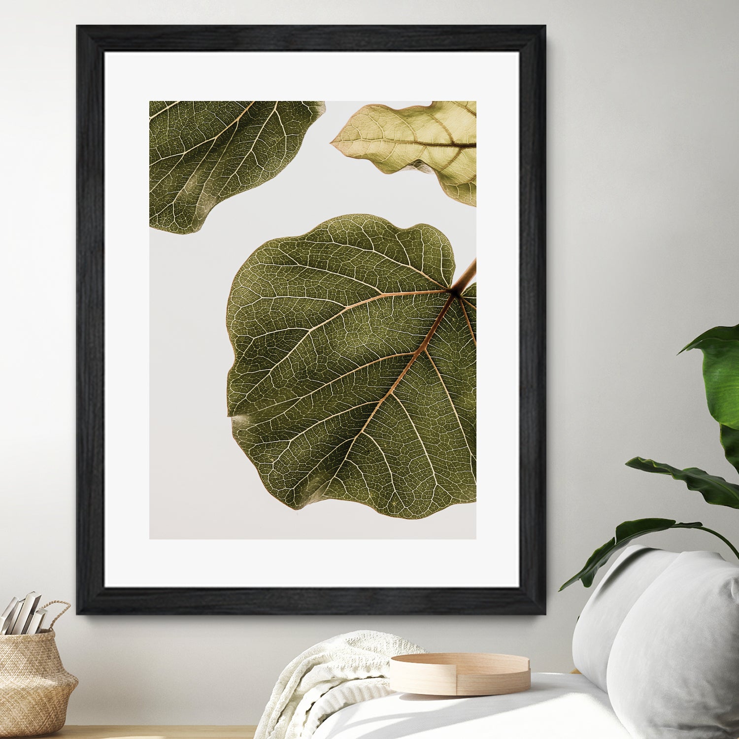 Abutifolia No2 by Shot on GIANT ART - photography still life