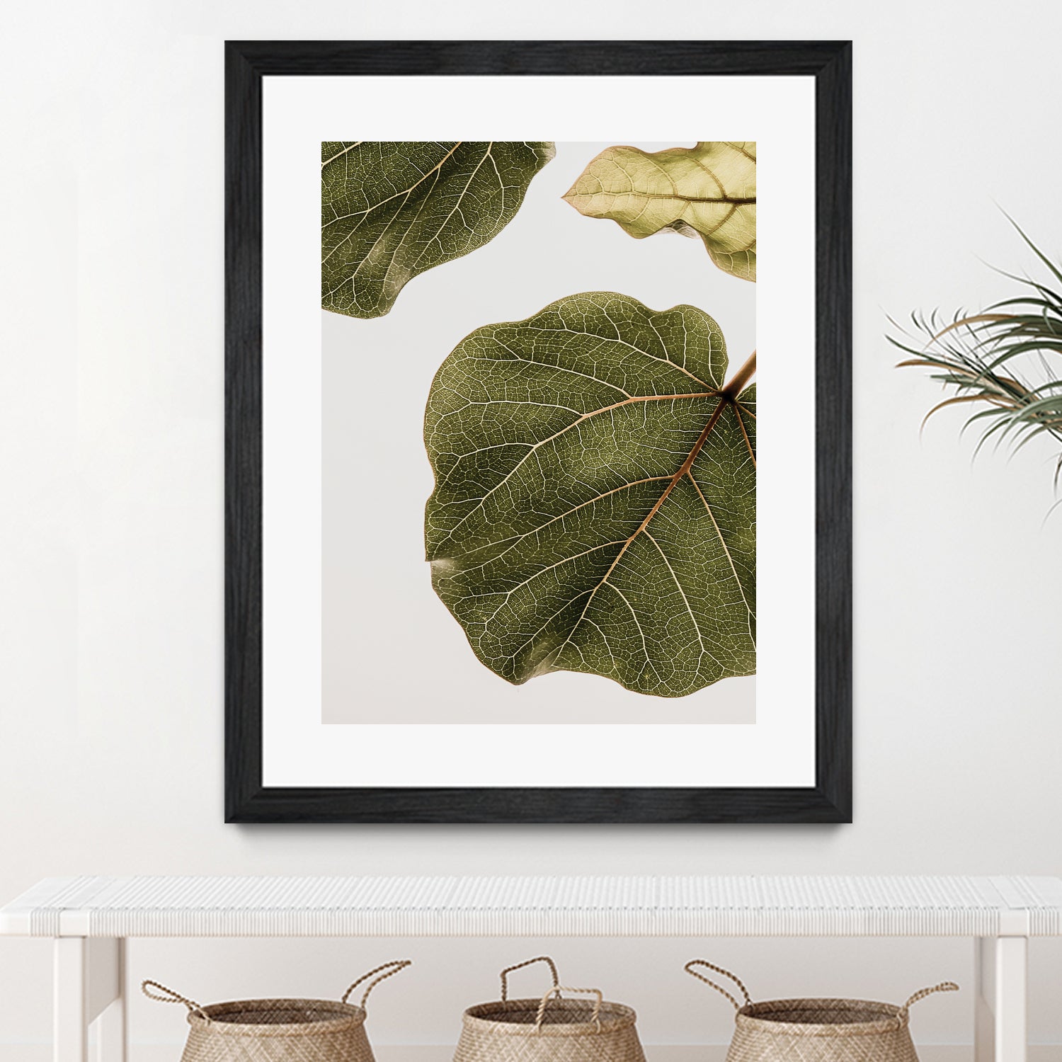 Abutifolia No2 by Shot on GIANT ART - photography still life