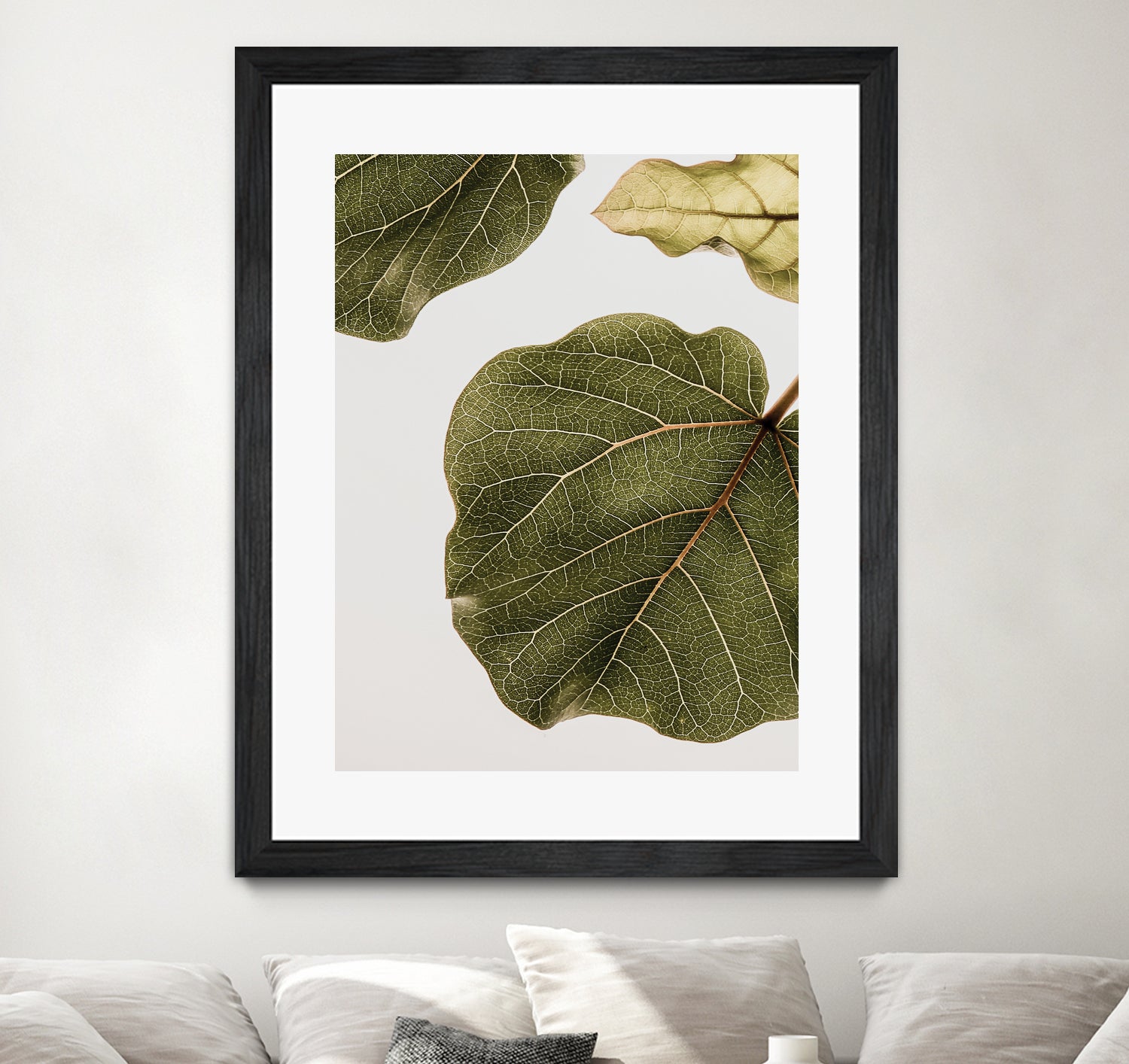 Abutifolia No2 by Shot on GIANT ART - photography still life