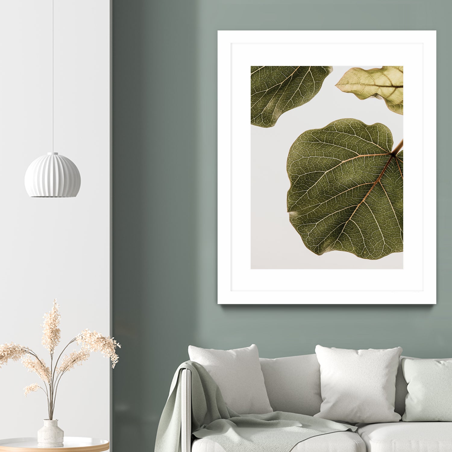 Abutifolia No2 by Shot on GIANT ART - photography still life