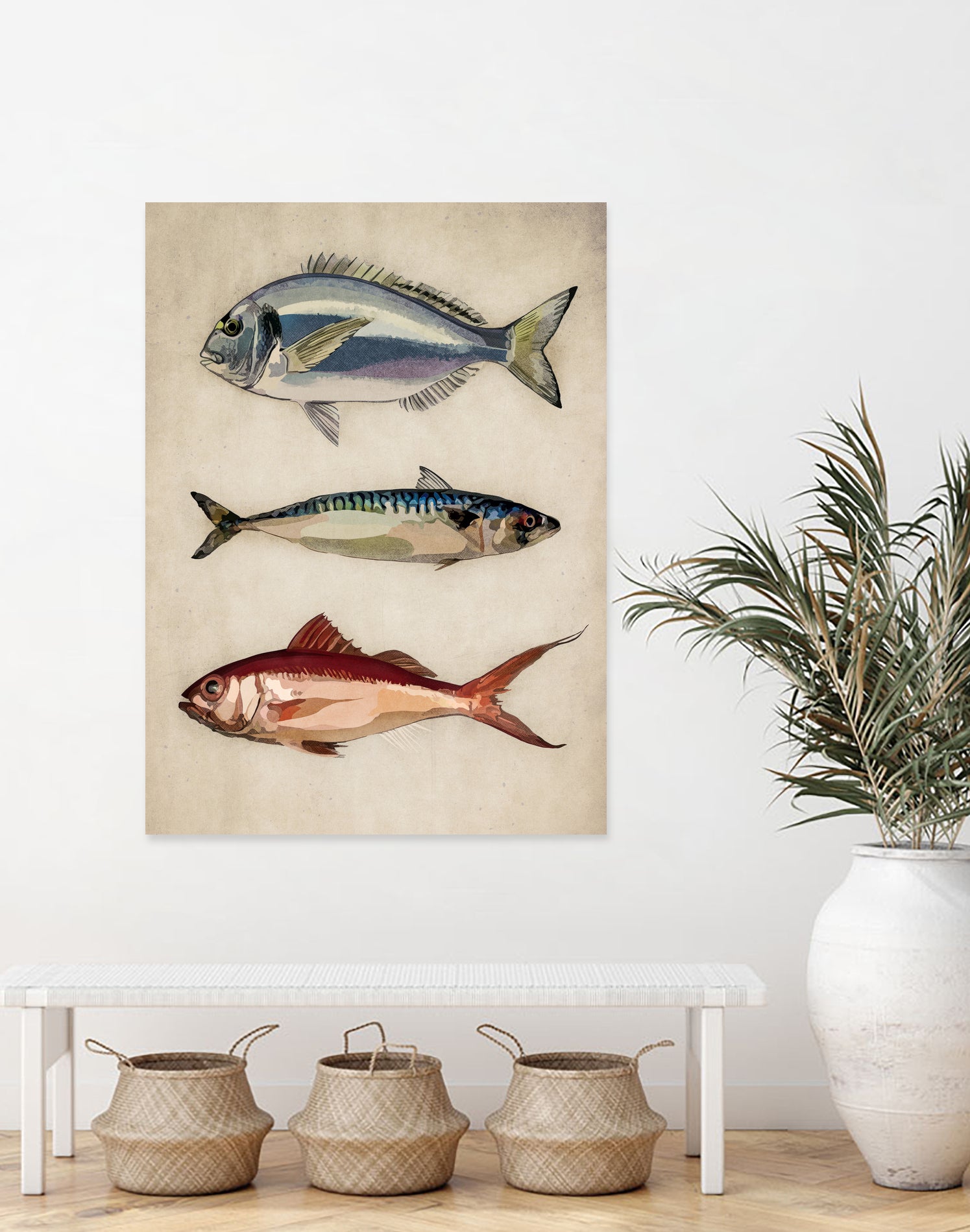 Trio of Ocean Life by Emel Tunaboylu on GIANT ART - animals vintage fish illustration