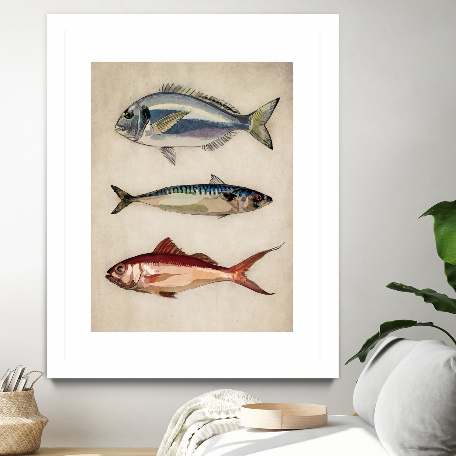 Trio of Ocean Life by Emel Tunaboylu on GIANT ART - animals vintage fish illustration