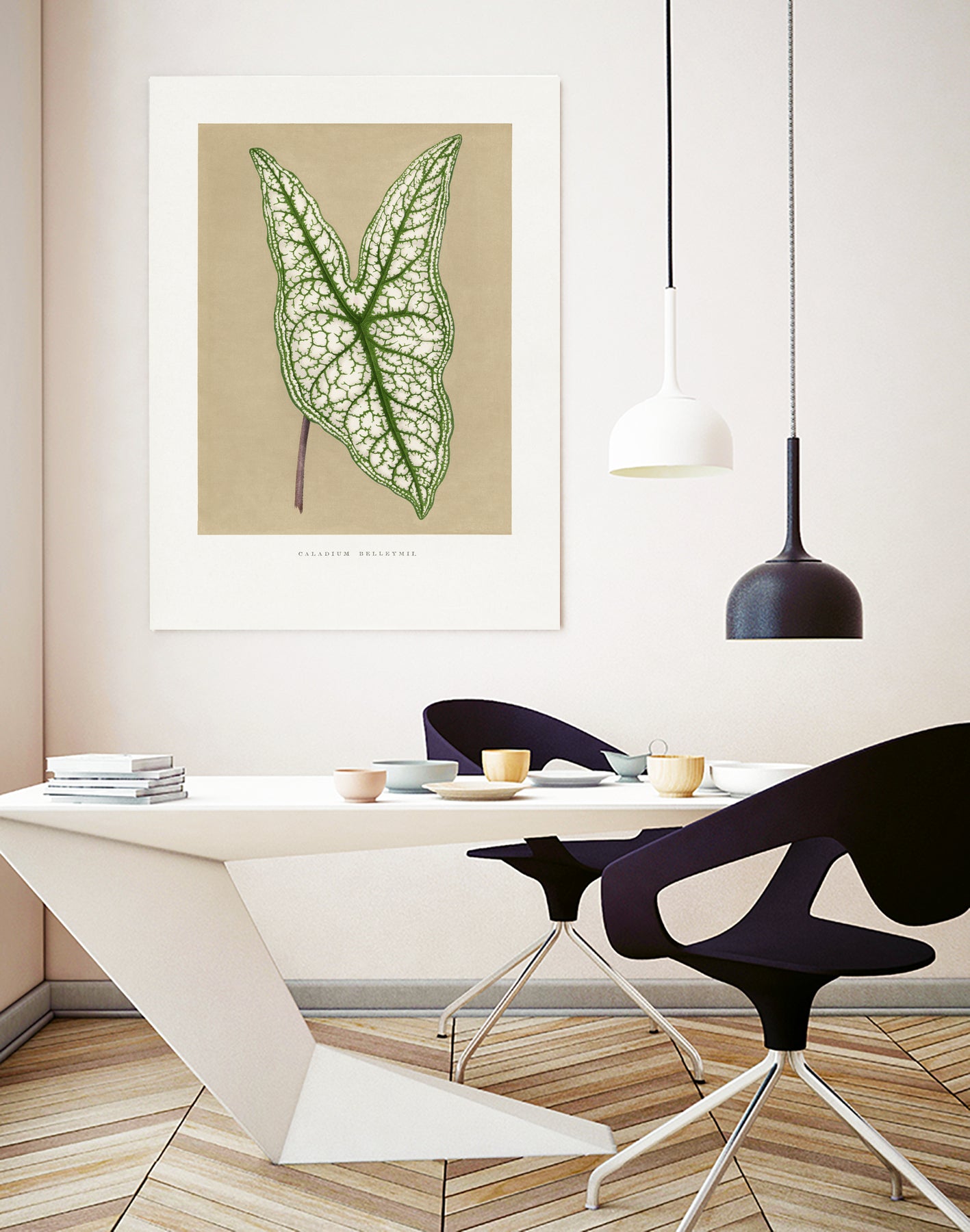 Green Caladium Belleymii Leaf Illustration by Les Plantes a on GIANT ART - flowers and plants vintage botanical