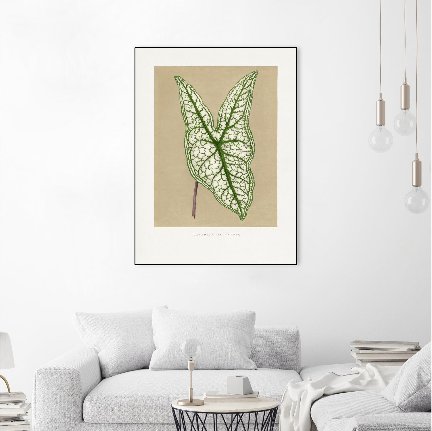 Green Caladium Belleymii Leaf Illustration by Les Plantes a on GIANT ART - flowers and plants vintage botanical