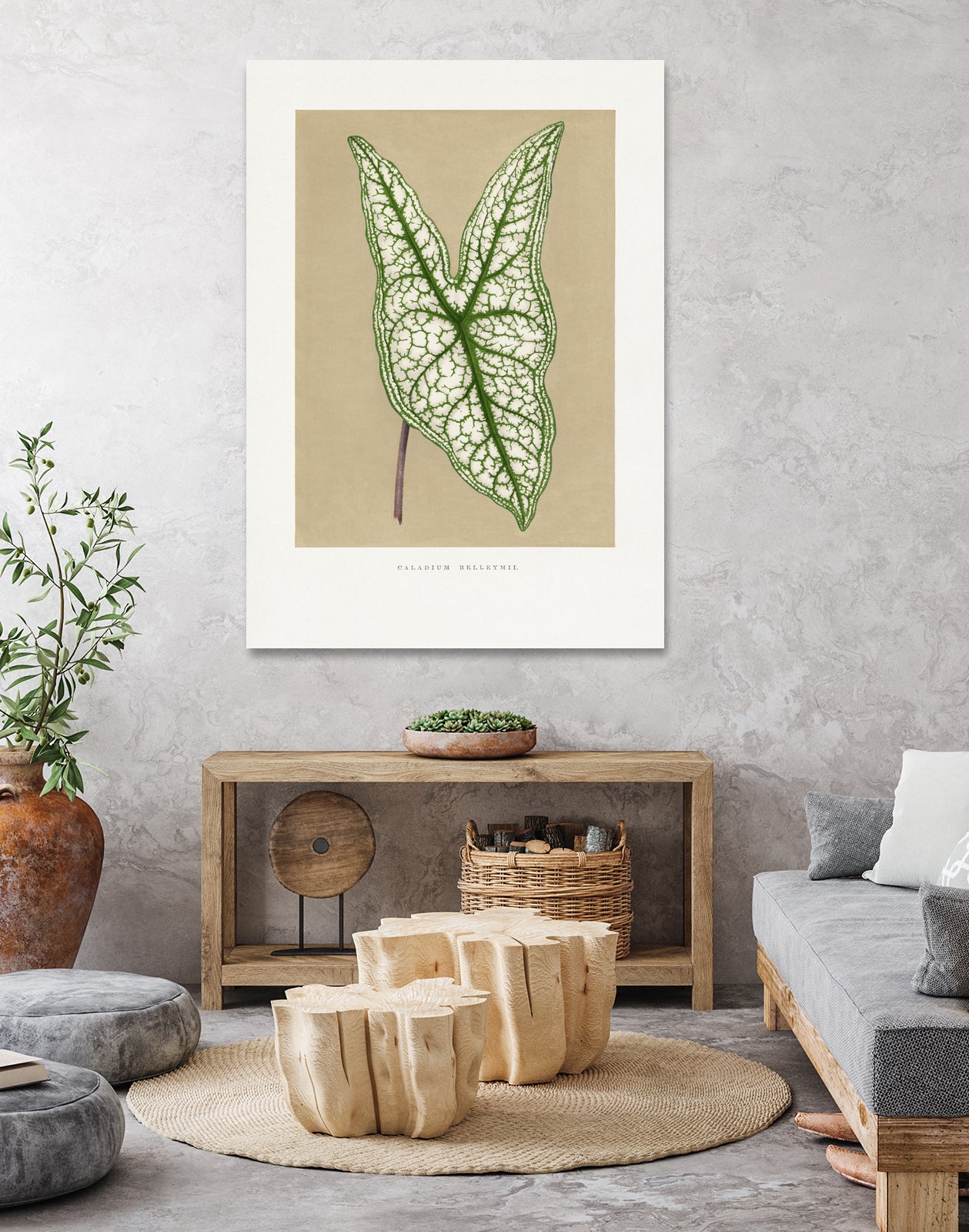 Green Caladium Belleymii Leaf Illustration by Les Plantes a on GIANT ART - flowers and plants vintage botanical