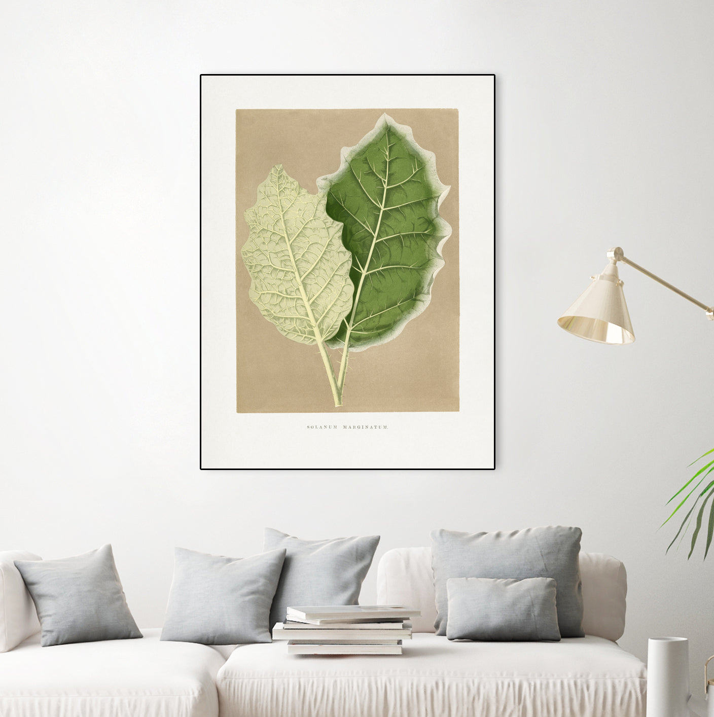 Green Solanum Marginatum Leaf Illustration by Les Plantes a on GIANT ART - flowers and plants vintage botanical