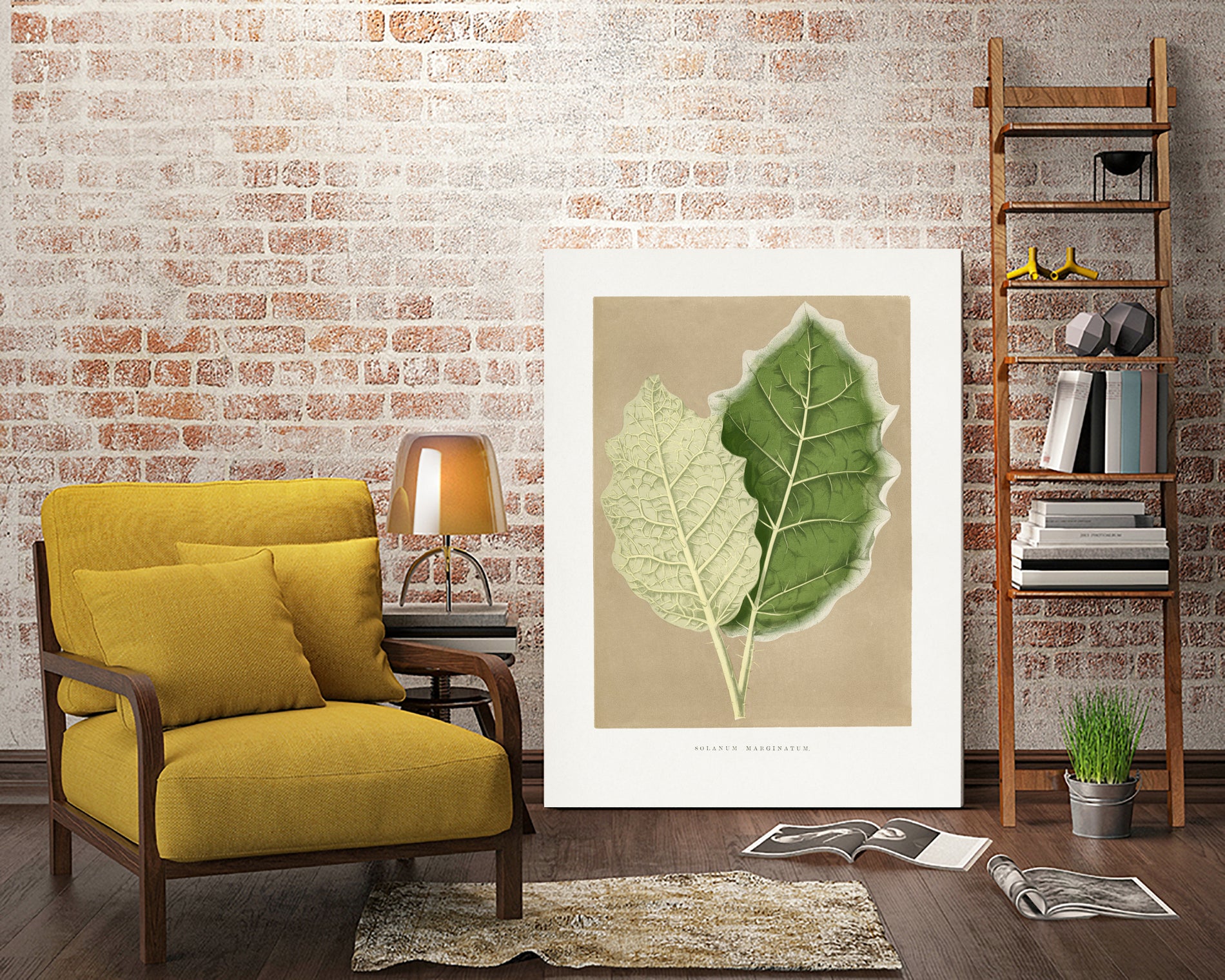 Green Solanum Marginatum Leaf Illustration by Les Plantes a on GIANT ART - flowers and plants vintage botanical