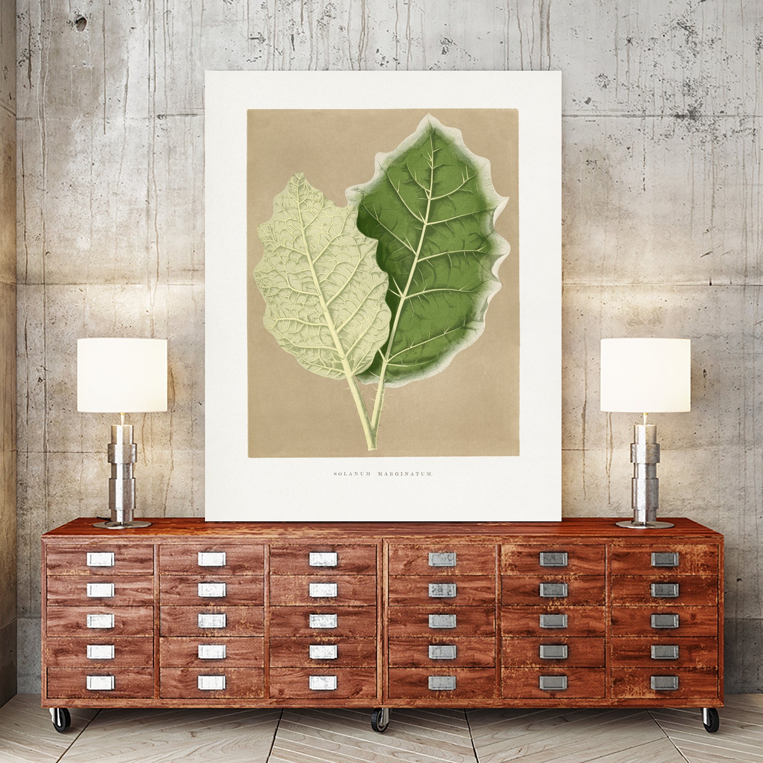 Green Solanum Marginatum Leaf Illustration by Les Plantes a on GIANT ART - flowers and plants vintage botanical