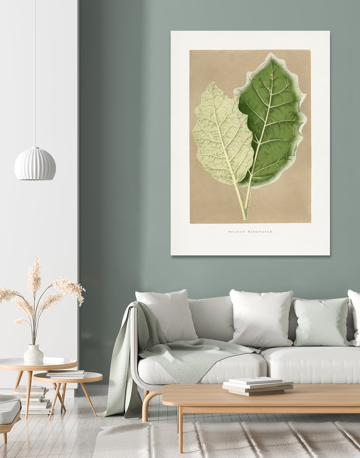 Green Solanum Marginatum Leaf Illustration by Les Plantes a on GIANT ART - flowers and plants vintage botanical