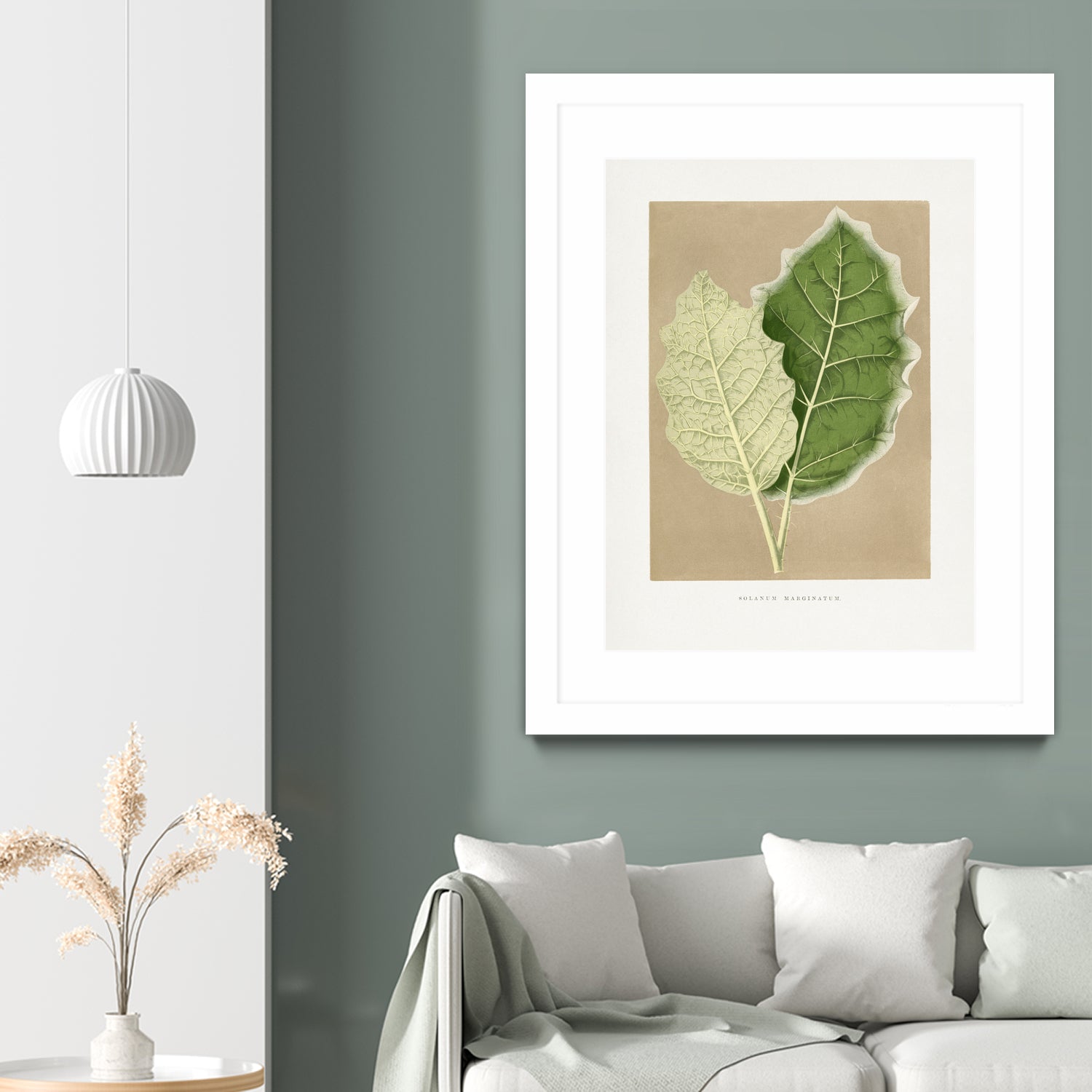 Green Solanum Marginatum Leaf Illustration by Les Plantes a on GIANT ART - flowers and plants vintage botanical