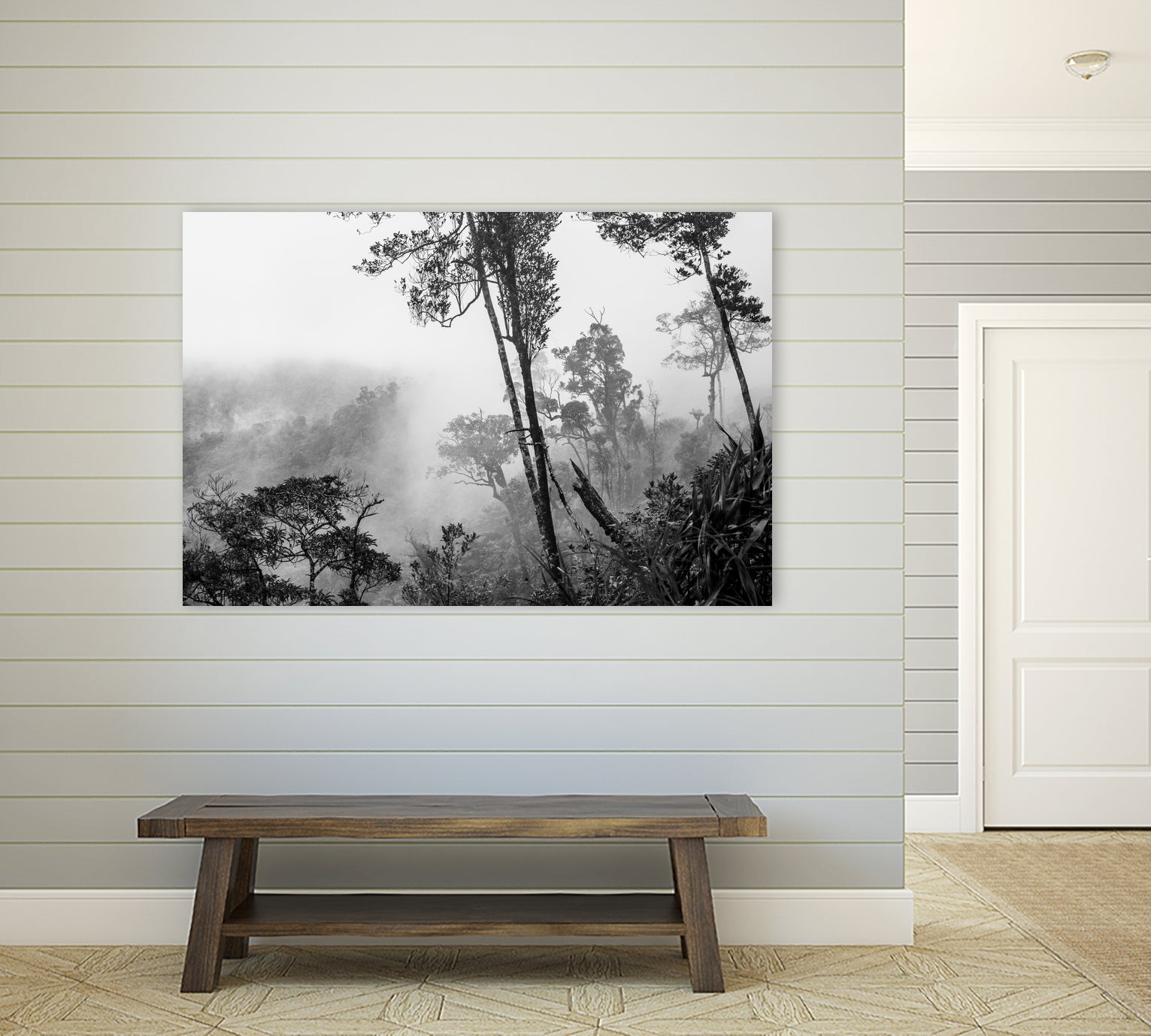 Trees in misty forest by Photolovers on GIANT ART - photograhy forest