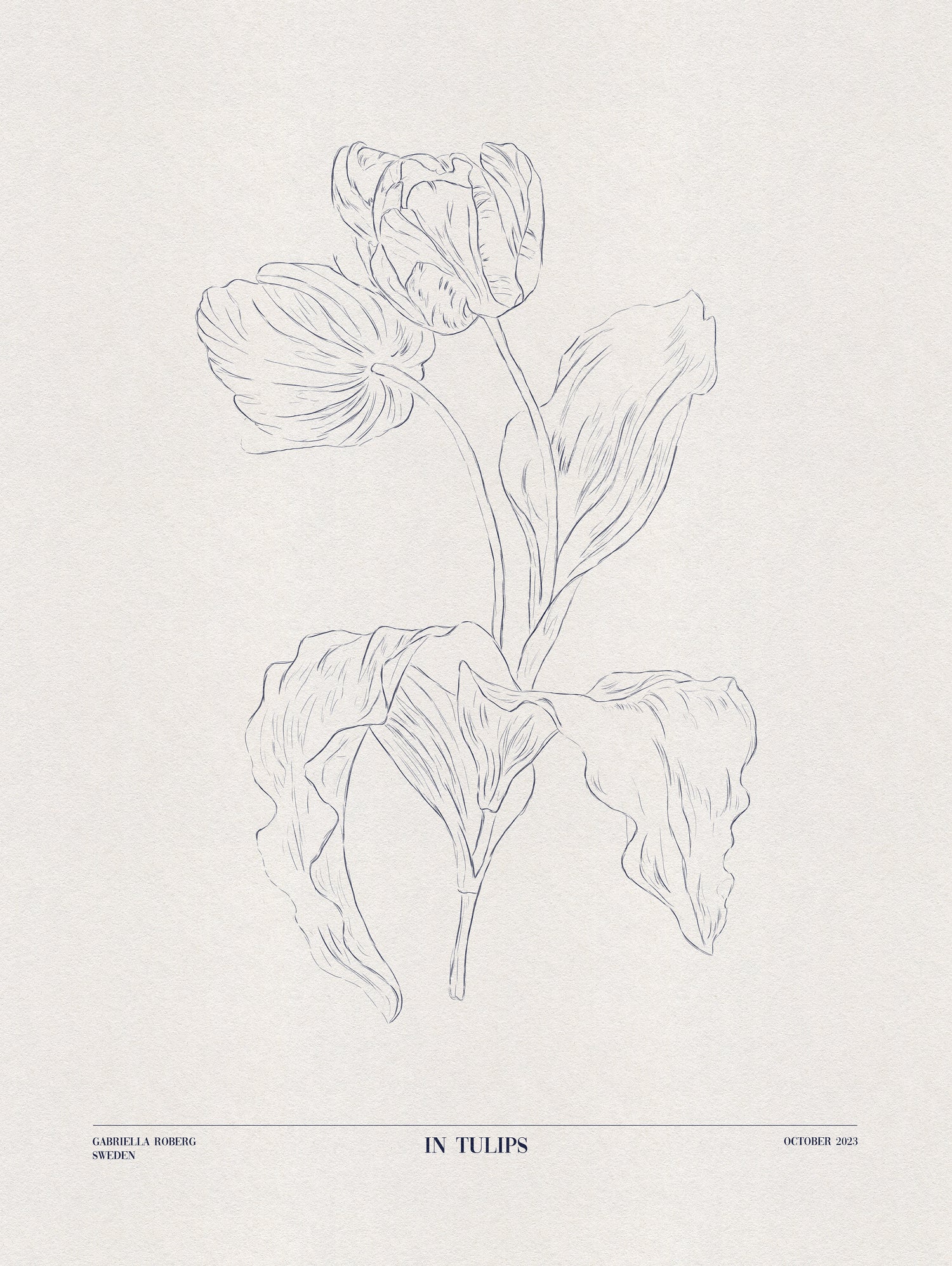 In Tulips (blue) by Gabriella Roberg on GIANT ART - line art gabriella roberg