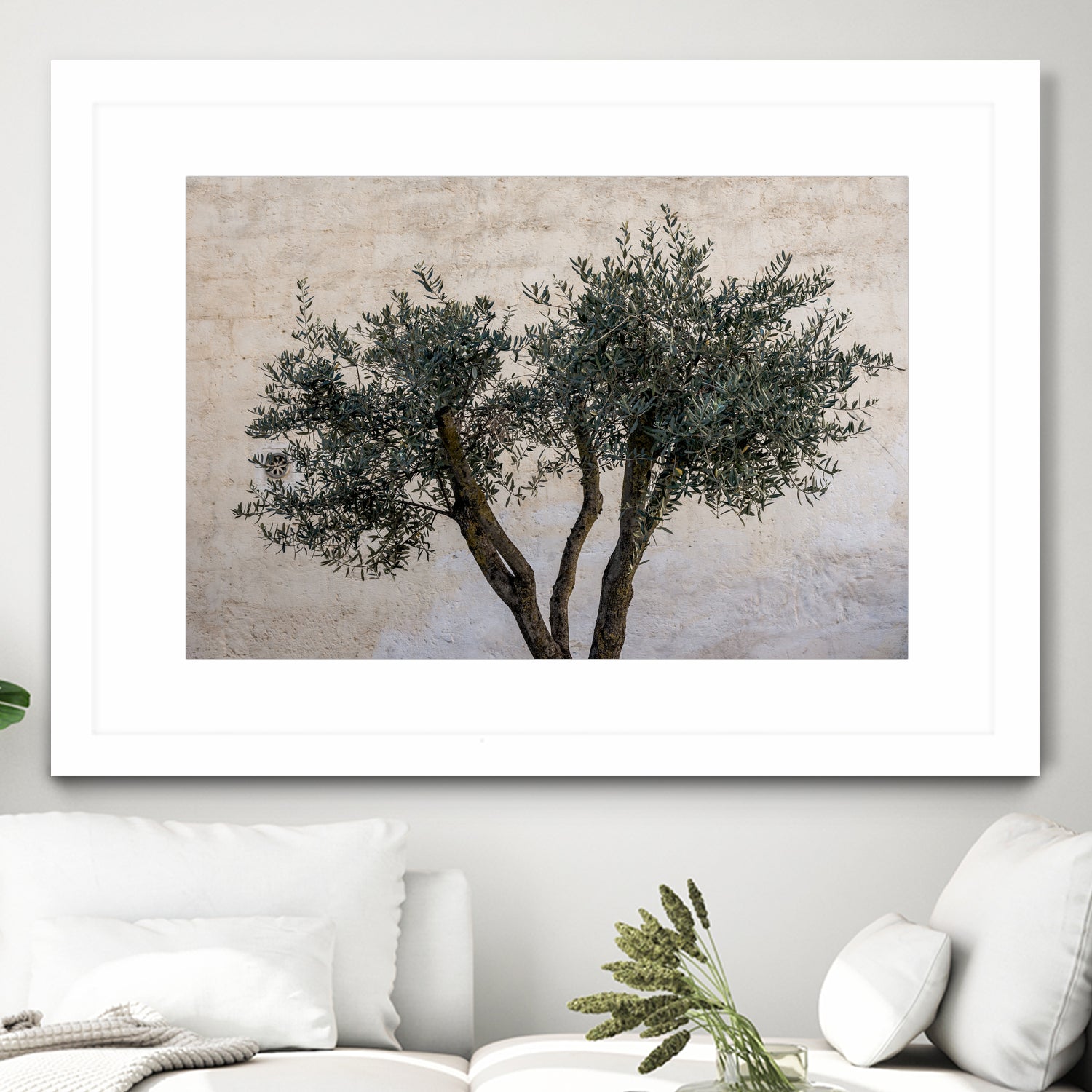 Olive Trees by Photolovers on GIANT ART - landscape plant