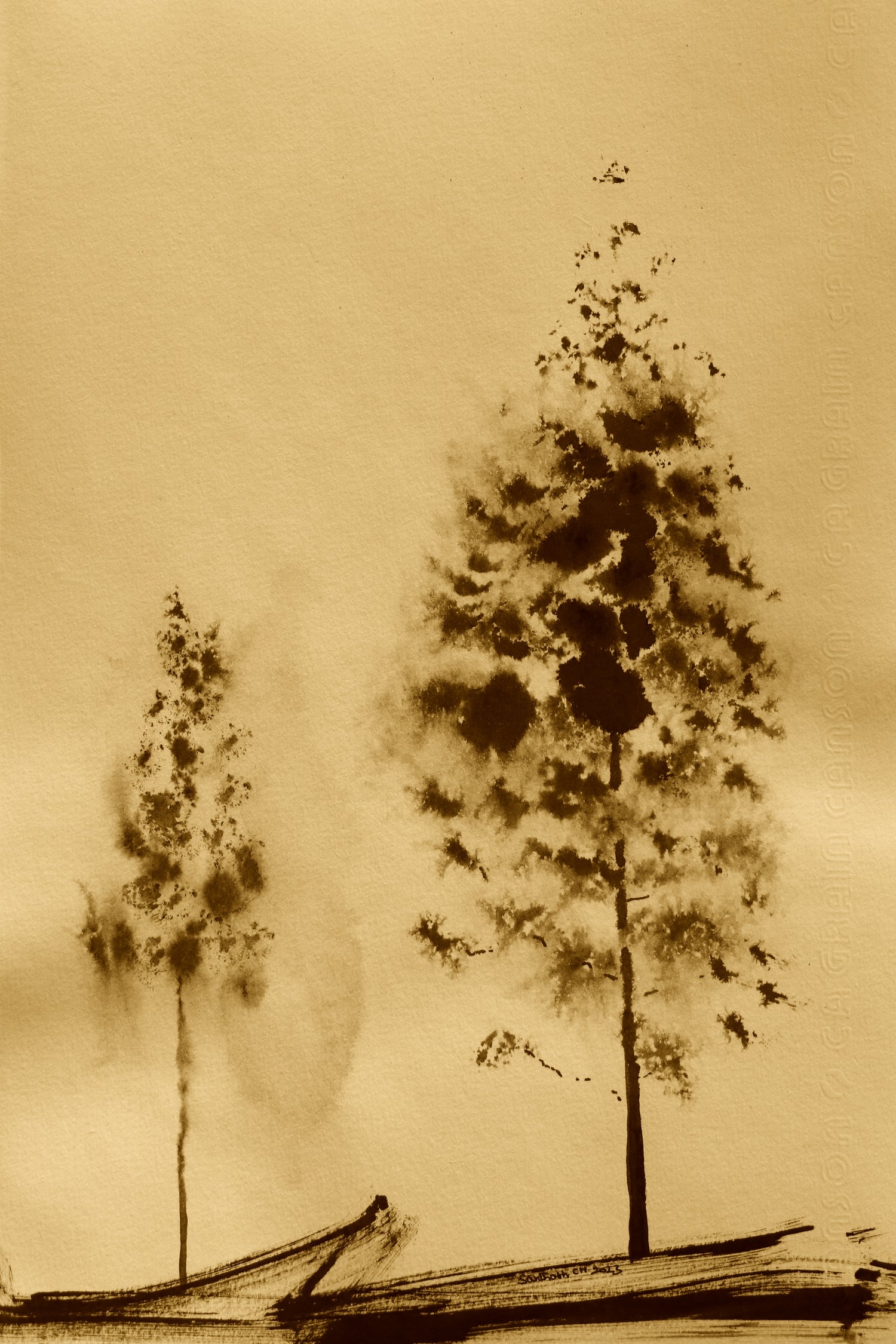 Two Trees Capturing Simplicity And Nature by Santhosh ch on GIANT ART - 14071 illustration