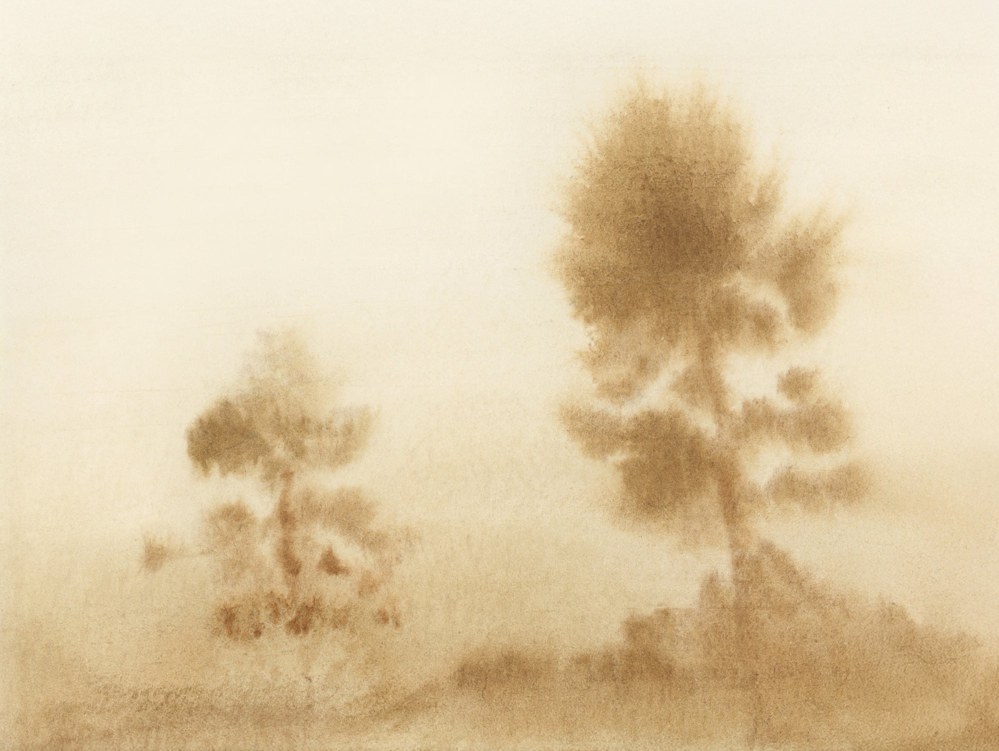 Misty Meadow by Dan Hobday on GIANT ART - outdoor