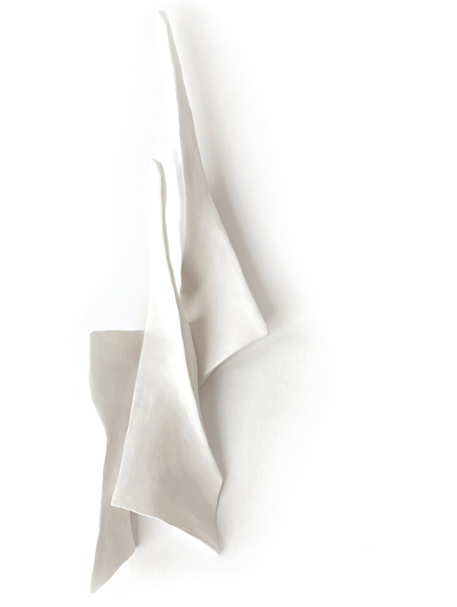 White Elegance by Jenja Braun on GIANT ART - flowers and plants minimalist-art
