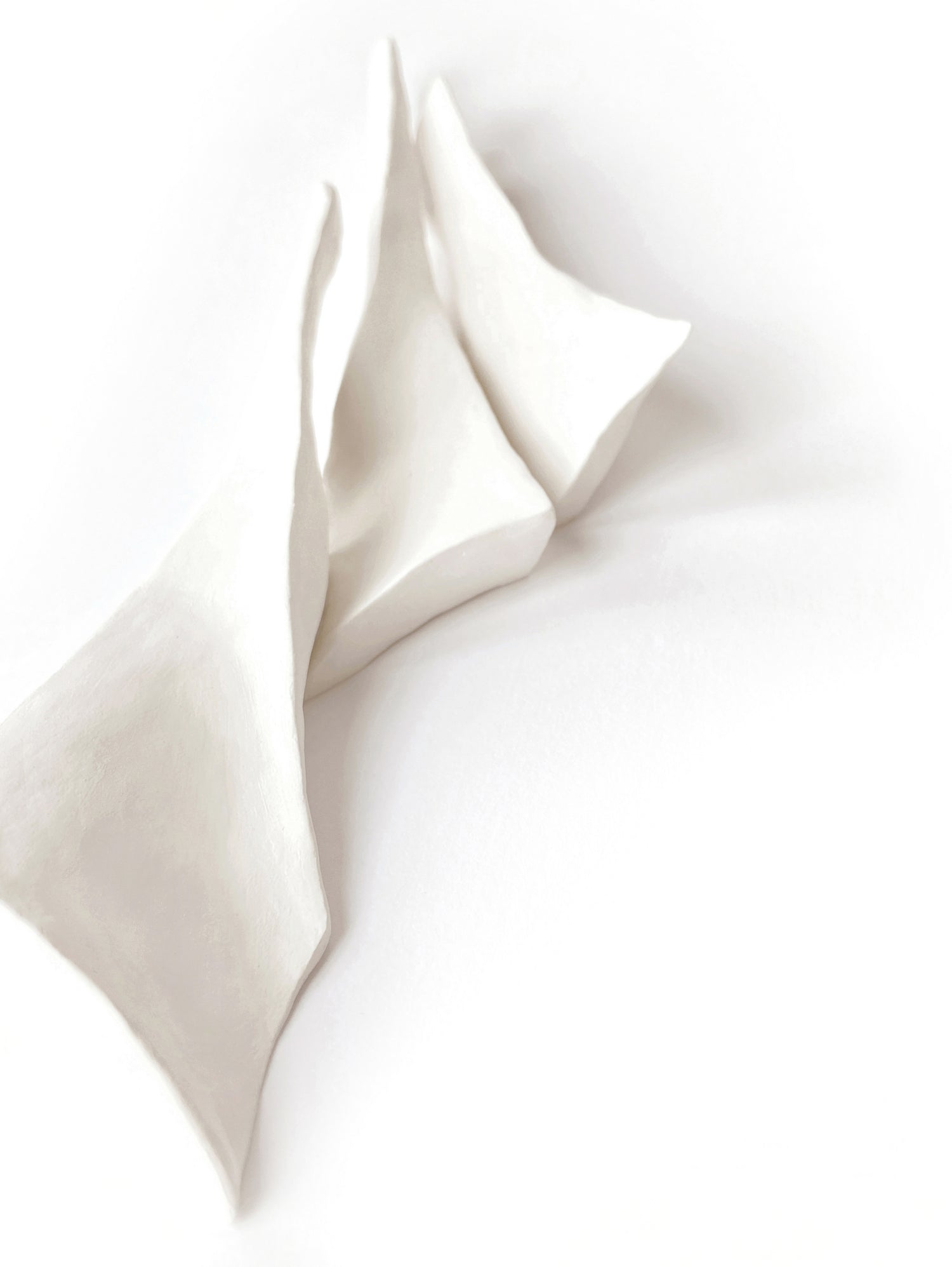 Folded Whispers by Jenja Braun on GIANT ART - flowers and plants minimalist decor