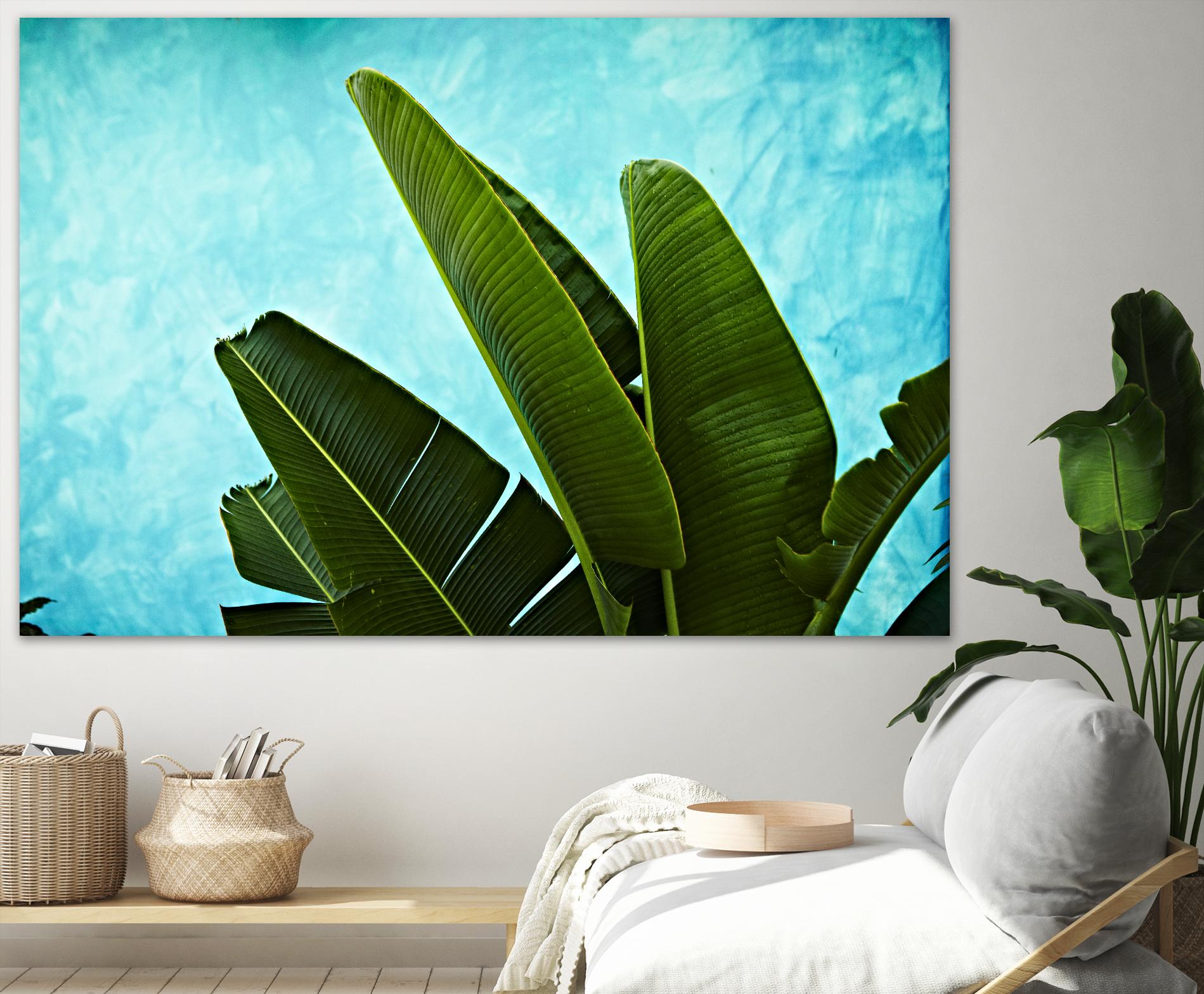 Tropical III by Peter Morneau on GIANT ART - green photo art