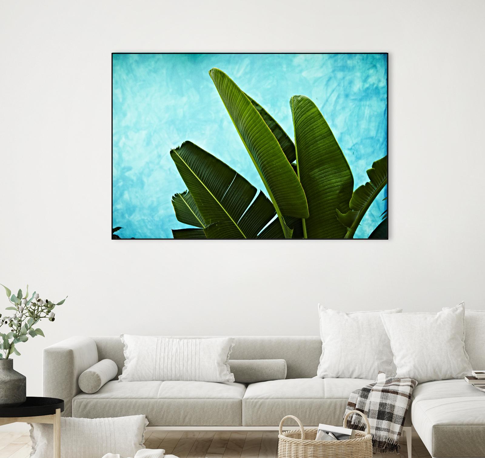 Tropical III by Peter Morneau on GIANT ART - green photo art