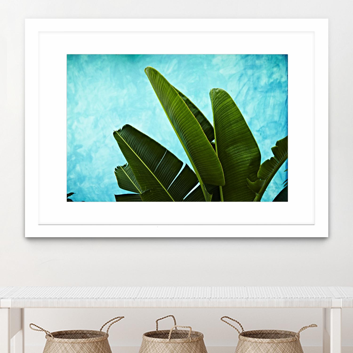 Tropical III by Peter Morneau on GIANT ART - green photo art