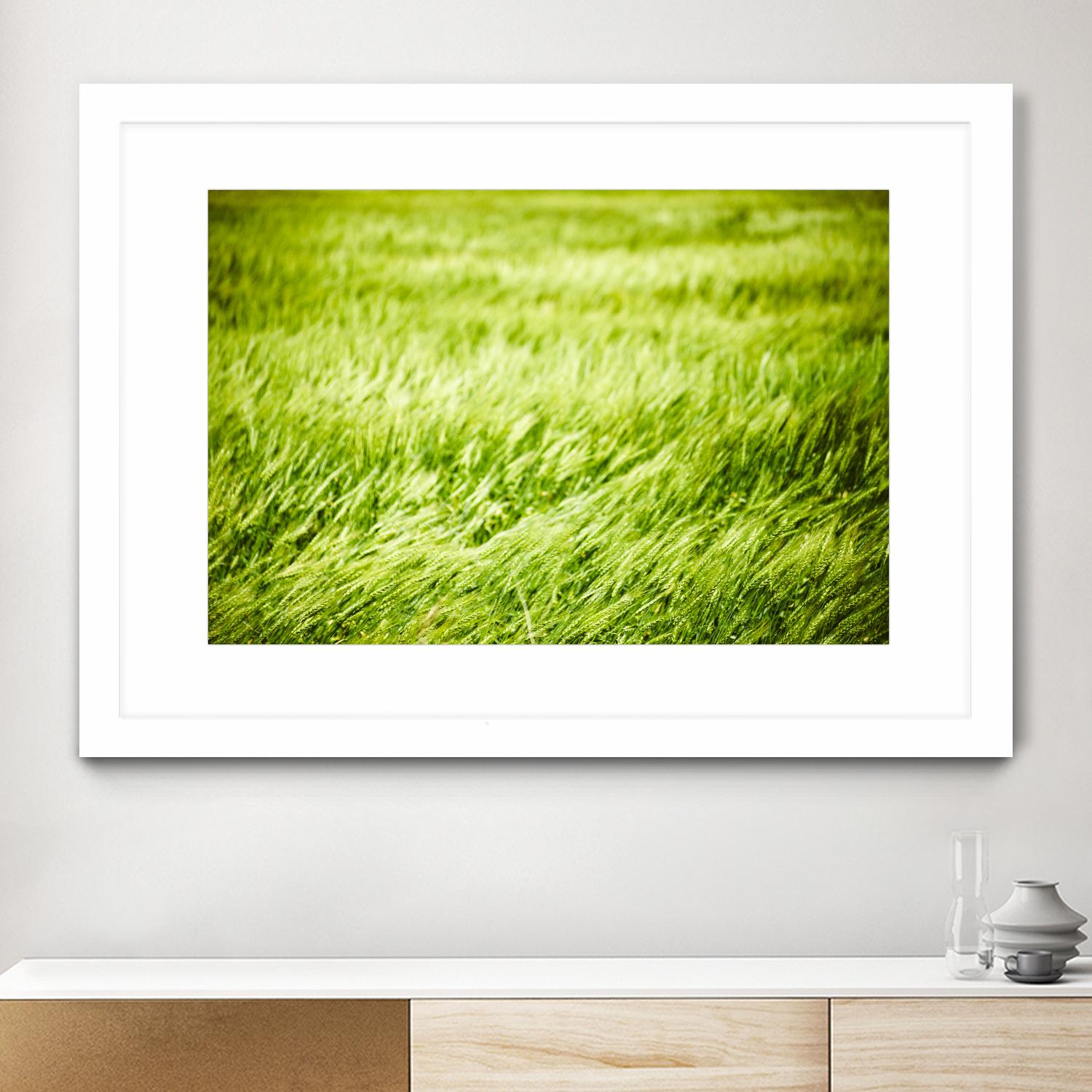 Grass I by Peter Morneau on GIANT ART - green photo art