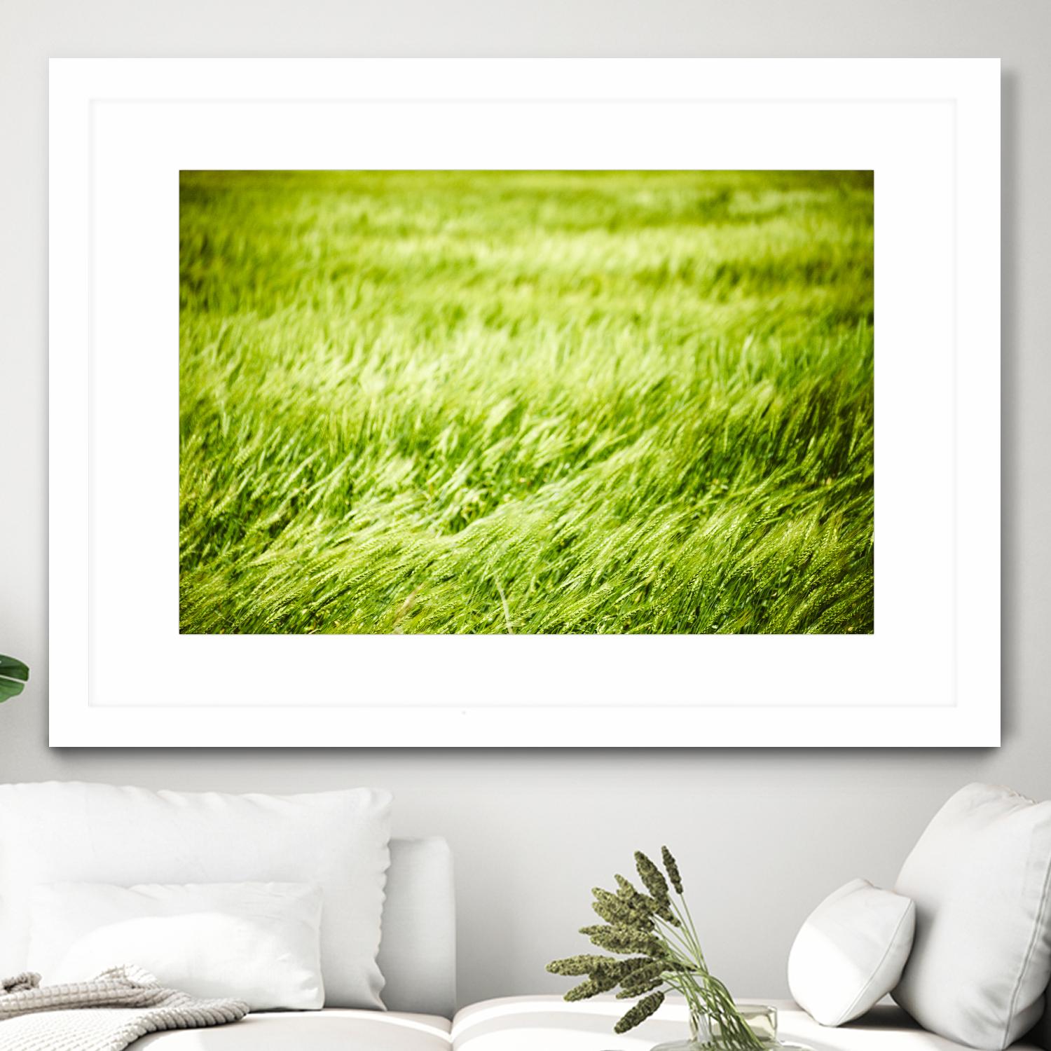 Grass I by Peter Morneau on GIANT ART - green photo art