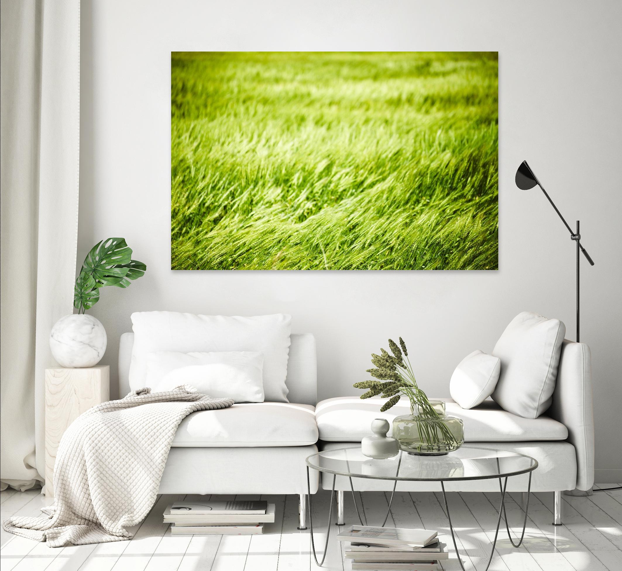 Grass I by Peter Morneau on GIANT ART - green photo art
