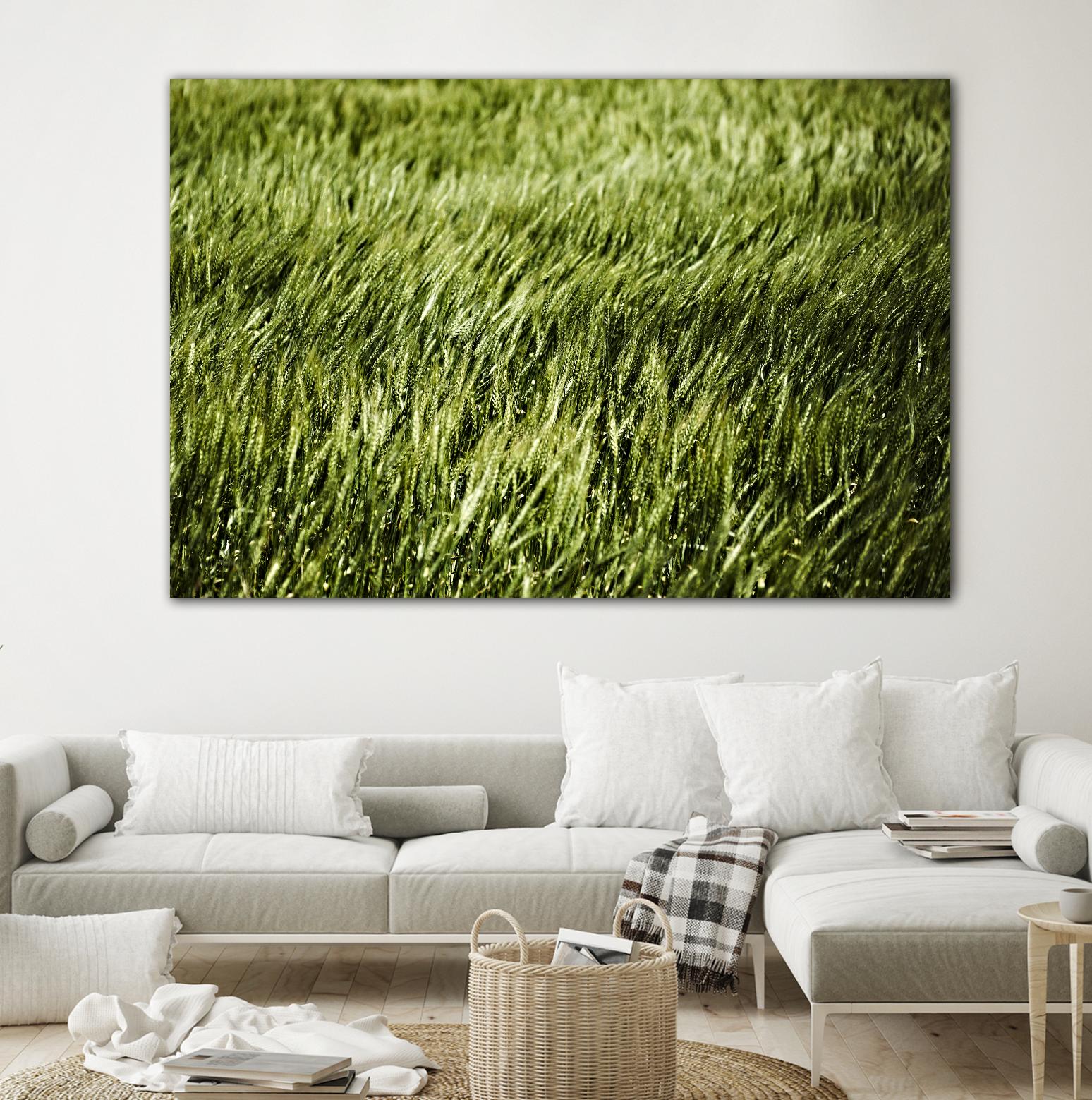 Grass II by Peter Morneau on GIANT ART - green photo art
