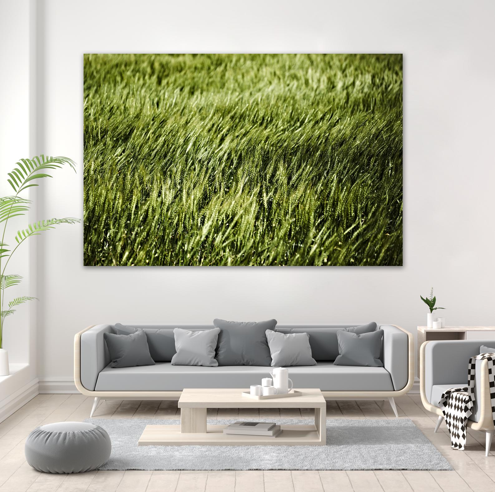 Grass II by Peter Morneau on GIANT ART - green photo art