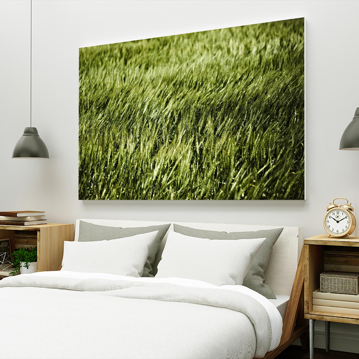 Grass II by Peter Morneau on GIANT ART - green photo art