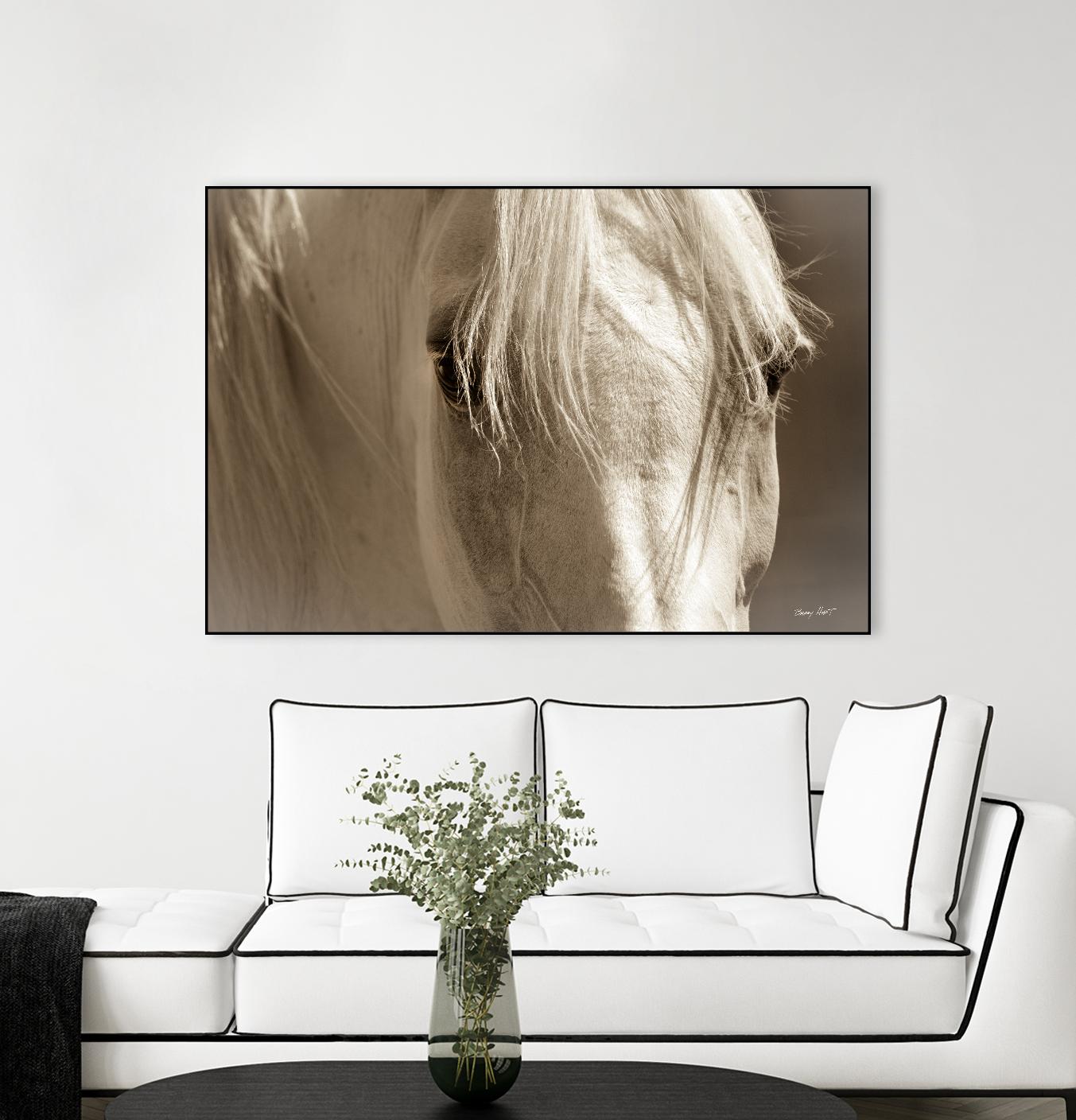 Angel Eyes by Barry Hart on GIANT ART - beige animals