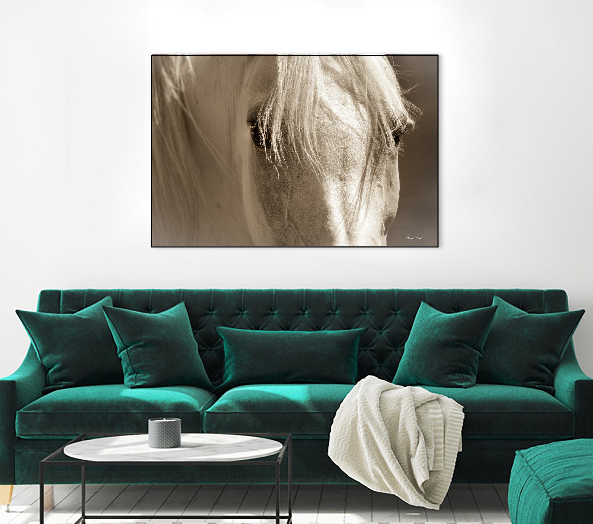 Angel Eyes by Barry Hart on GIANT ART - beige animals