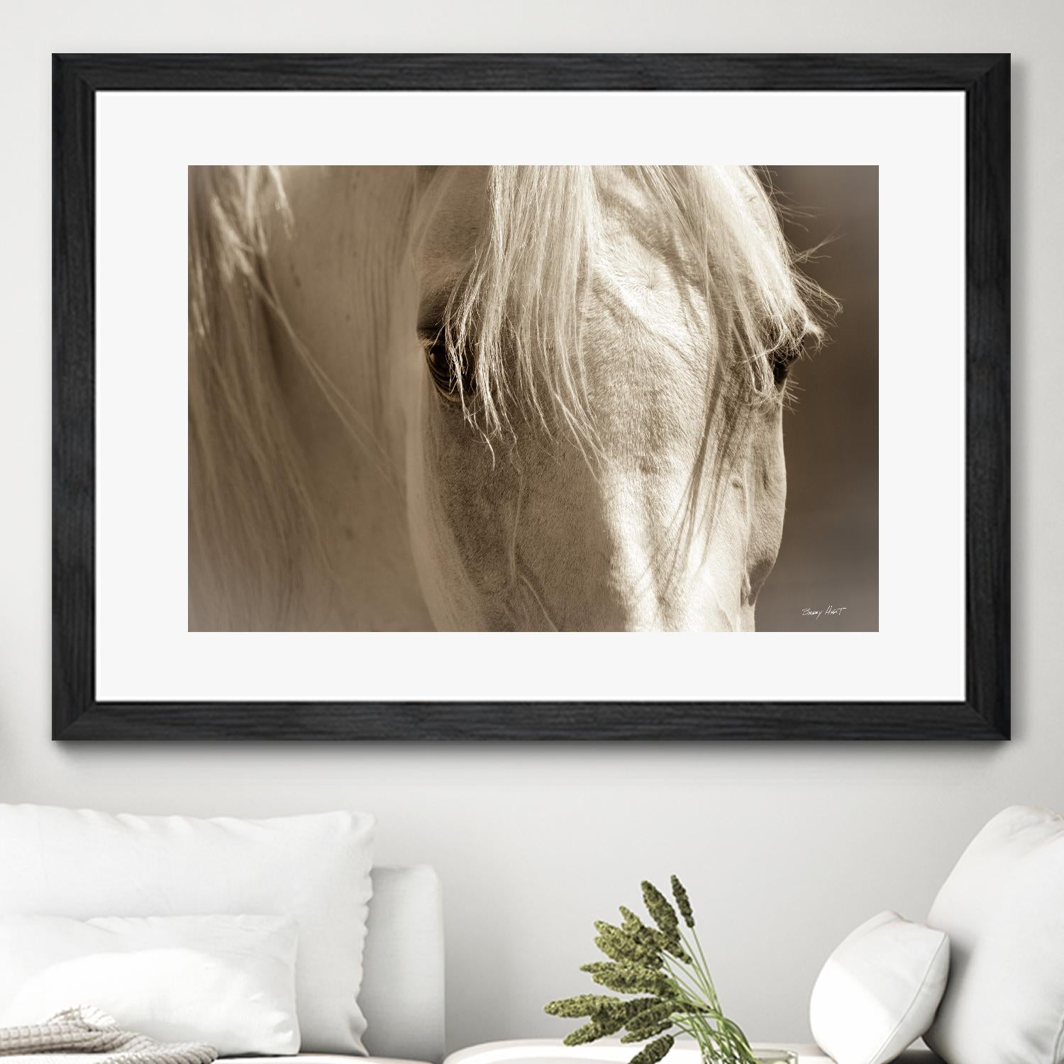 Angel Eyes by Barry Hart on GIANT ART - beige animals