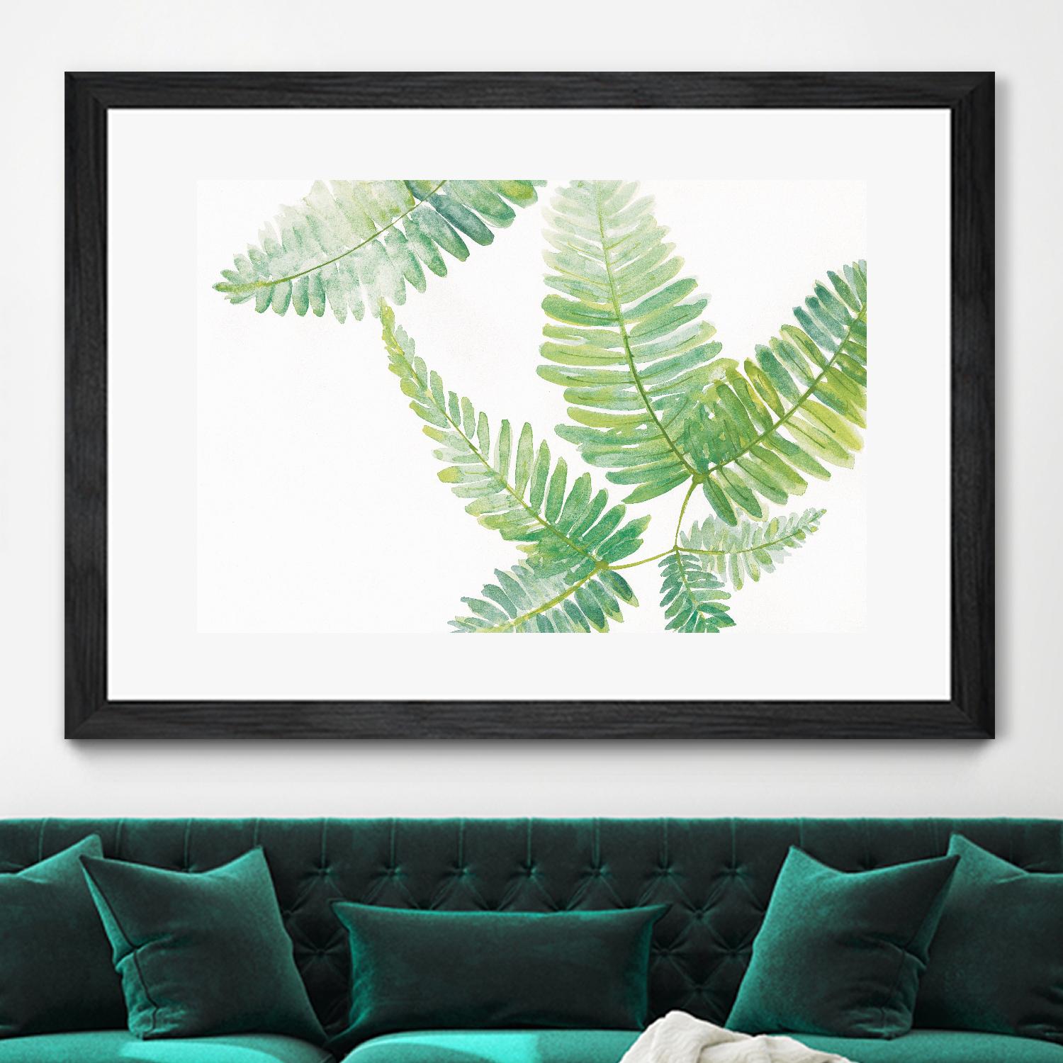 Ferns I by Chris Paschke on GIANT ART - green tropical