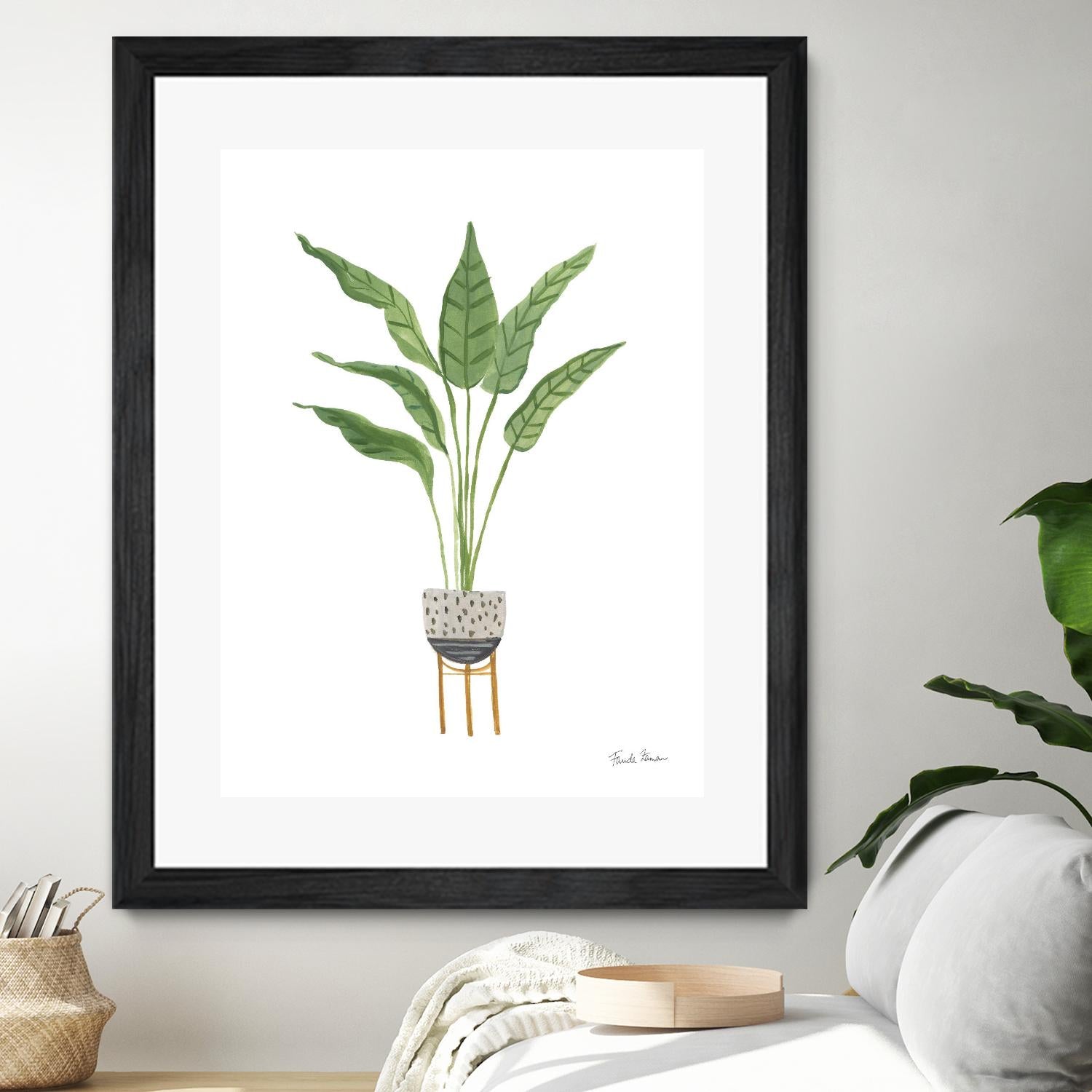 Green House Plants III by Farida Zaman on GIANT ART - botanical gray