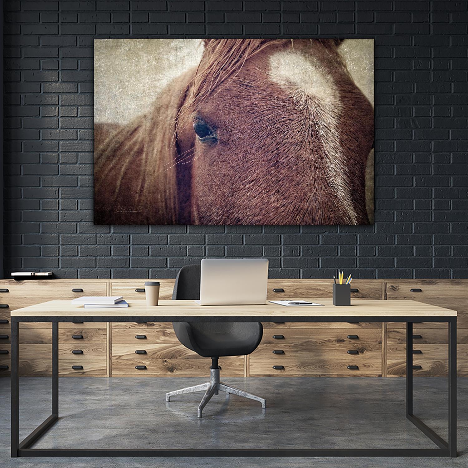 Dew Lashes by Debra Van Swearingen on GIANT ART - animals animals