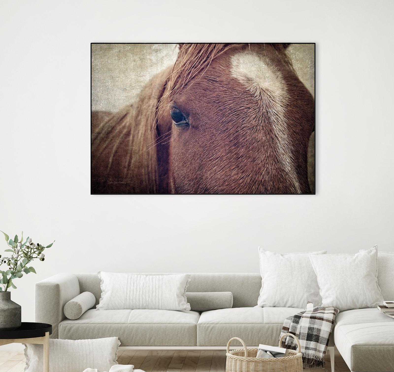 Dew Lashes by Debra Van Swearingen on GIANT ART - animals animals