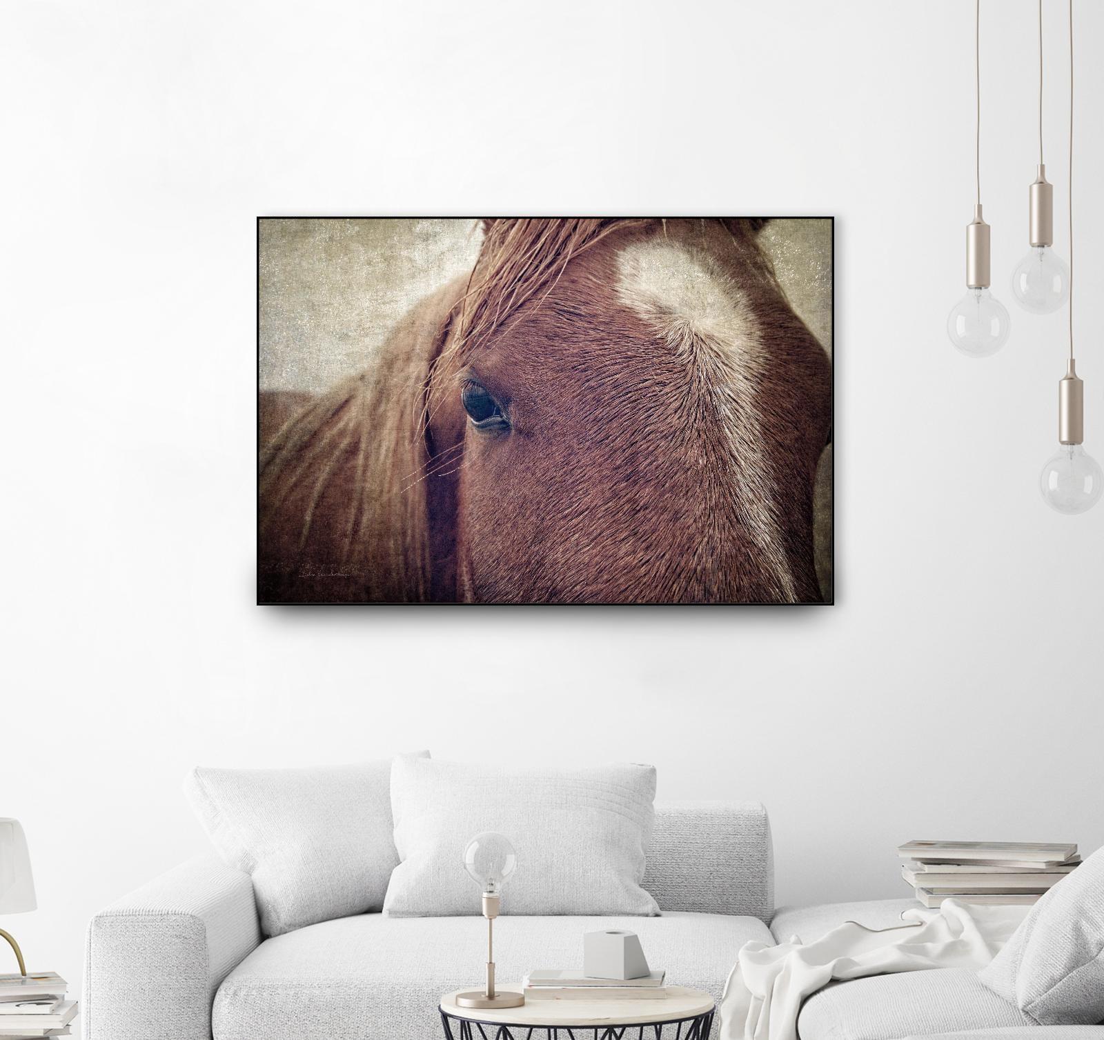 Dew Lashes by Debra Van Swearingen on GIANT ART - animals animals